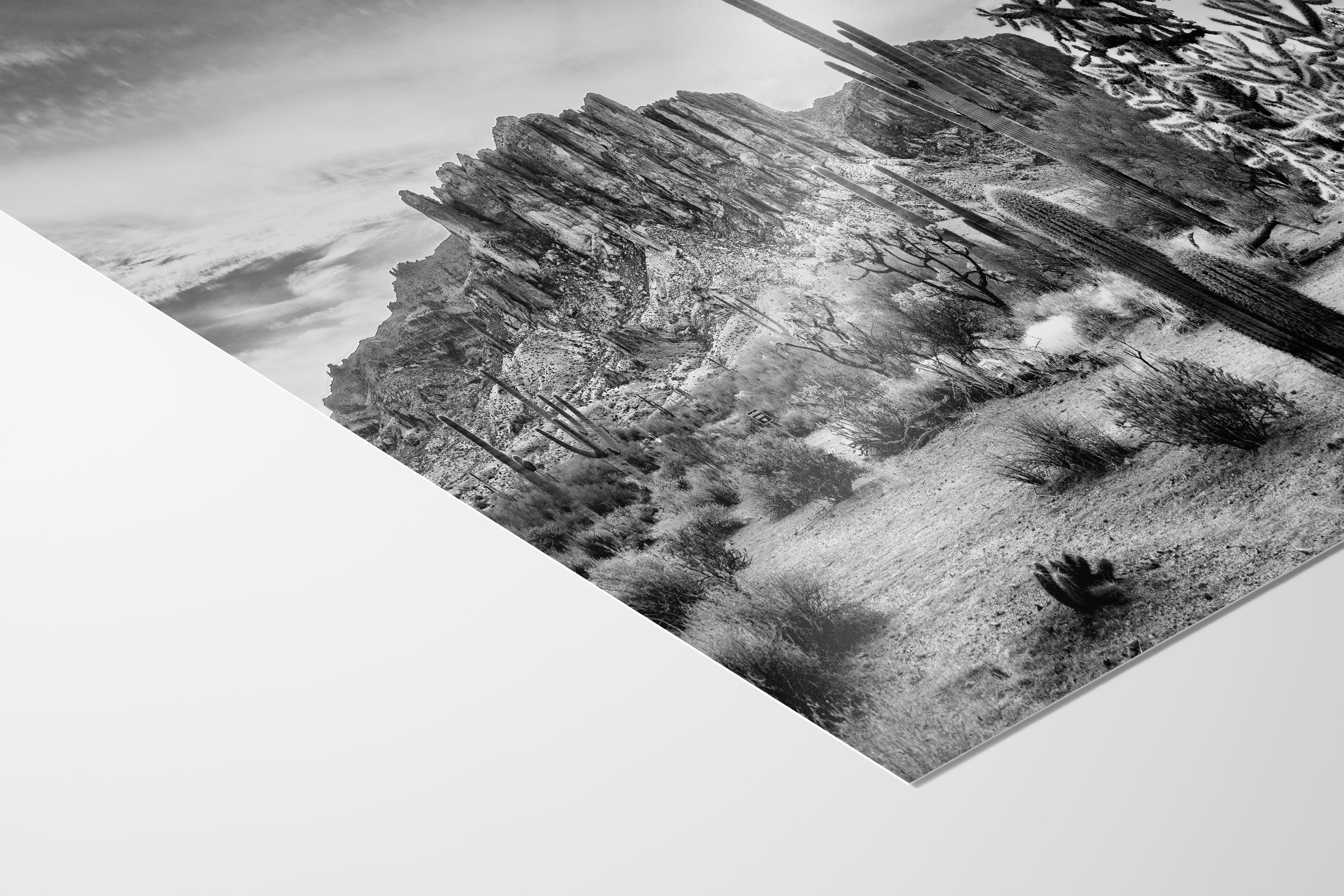 Arizona Desert Picture in Black and White, Saguaro Cactus Artwork Nature Photo, Southwestern Wall Art of Superstition Mountains at Lost Dutchman State Park