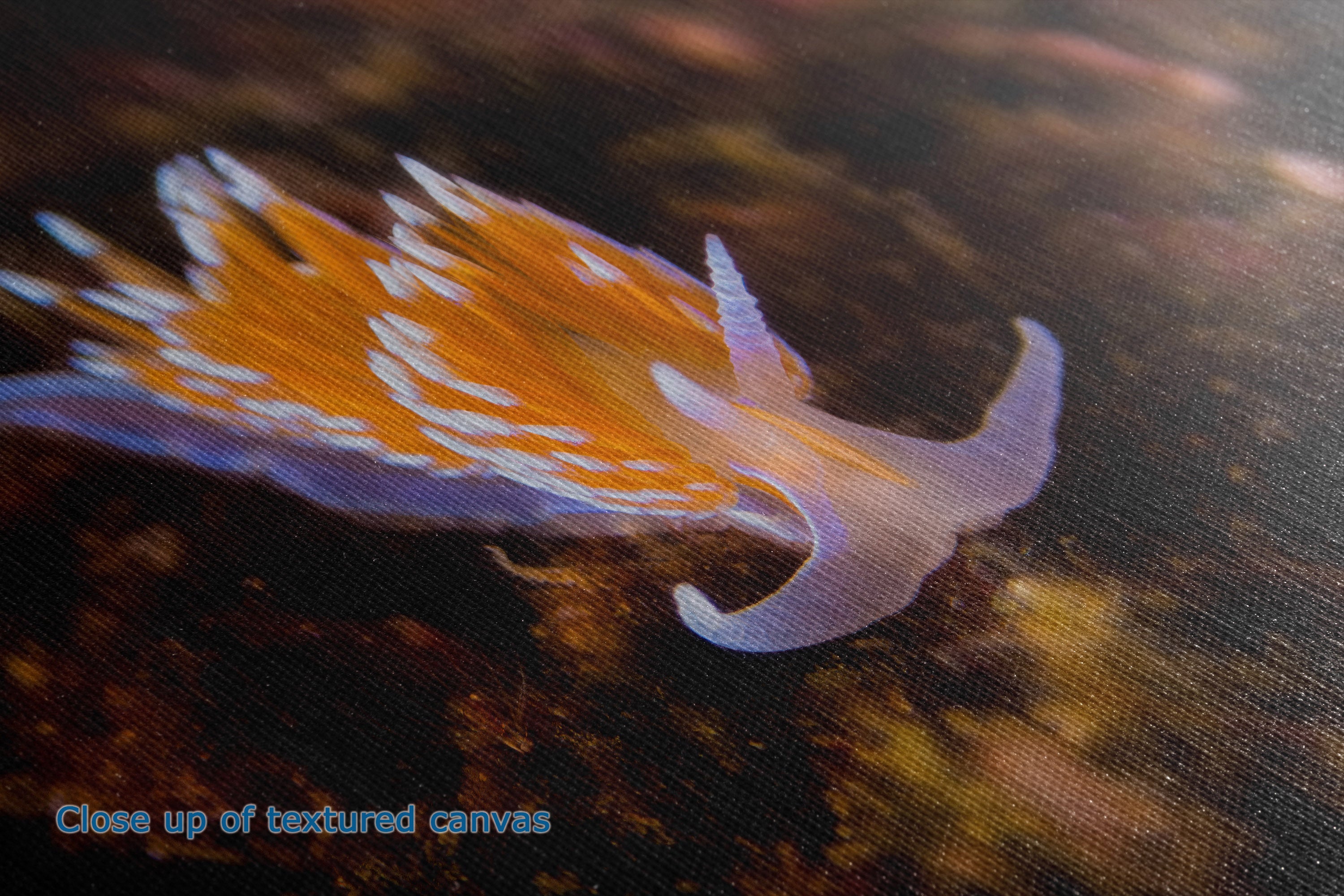 A close-up of a textured canvas print depicting a vibrant orange and white nudibranch sea slug on a dark, textured background, with a small blue text overlay in the bottom-left corner reading 'Close up of textured canvas'.