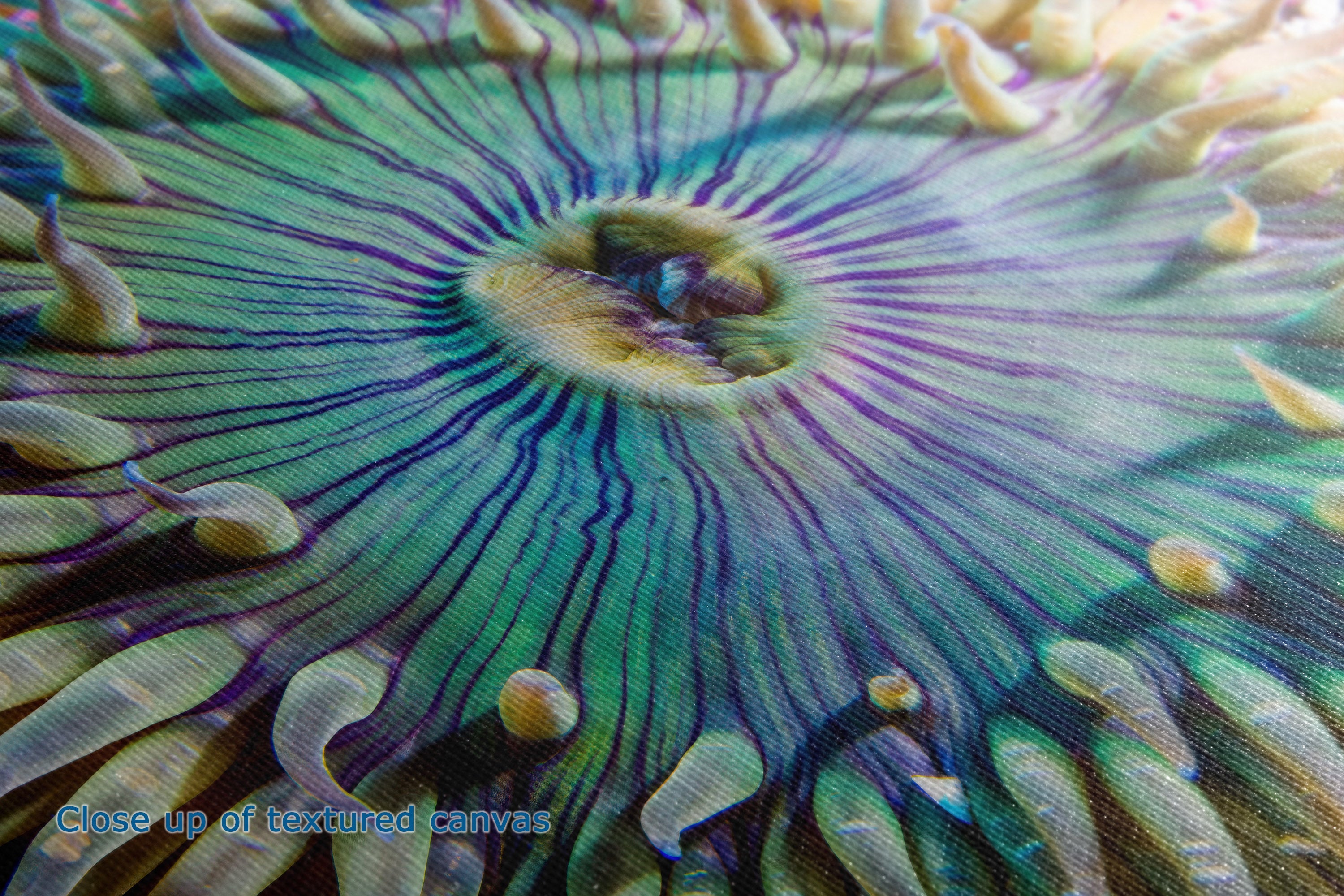 Close-up of a textured canvas print featuring a radial pattern of green, purple, and blue lines with beige tentacle-like shapes around the edges, with a small text overlay in the bottom-left corner reading 'Close up of textured canvas'.