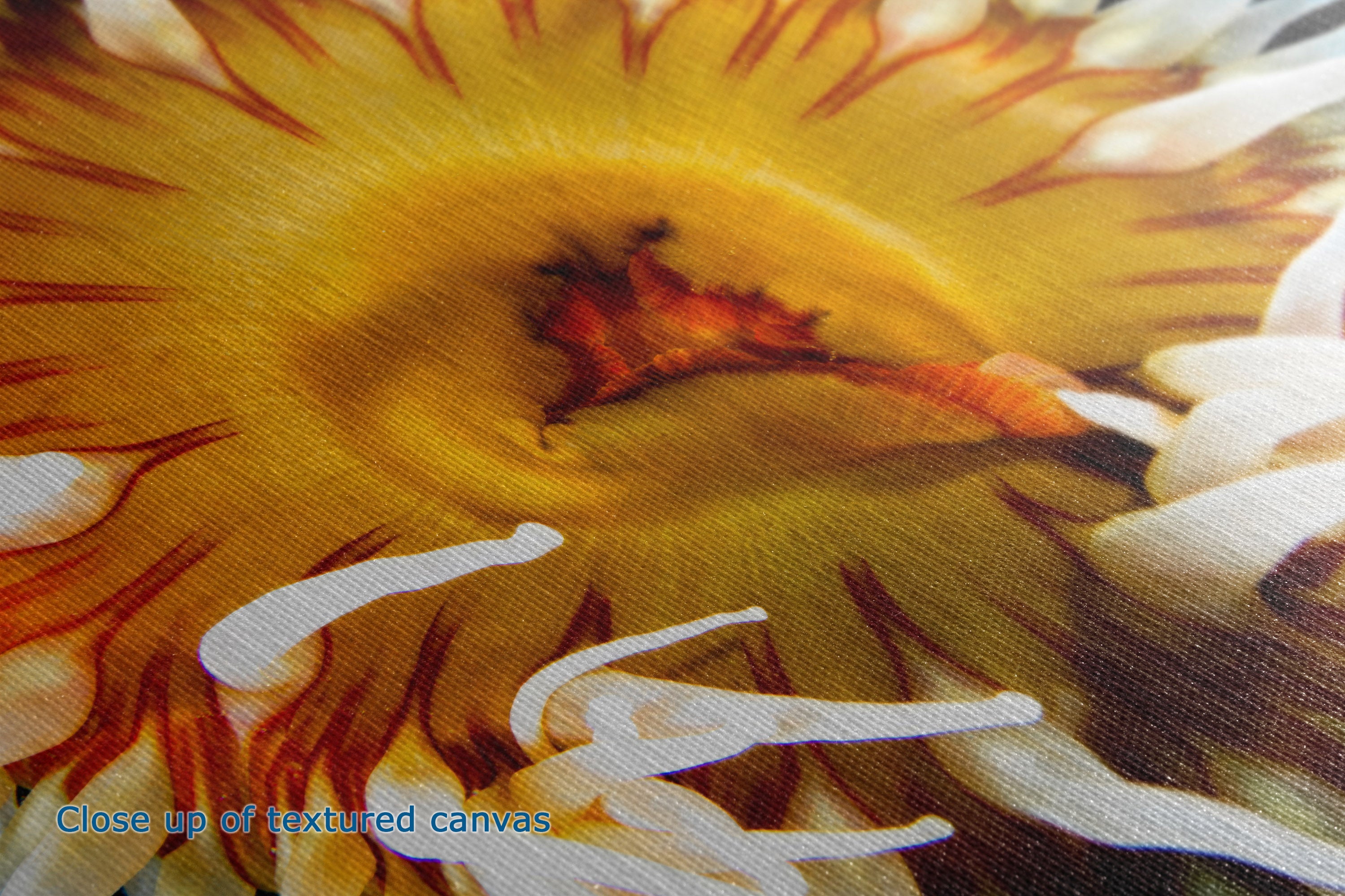 Close-up of a textured canvas print featuring a detailed underwater design. Blue text in the bottom-left corner reads 'Close up of textured canvas'.