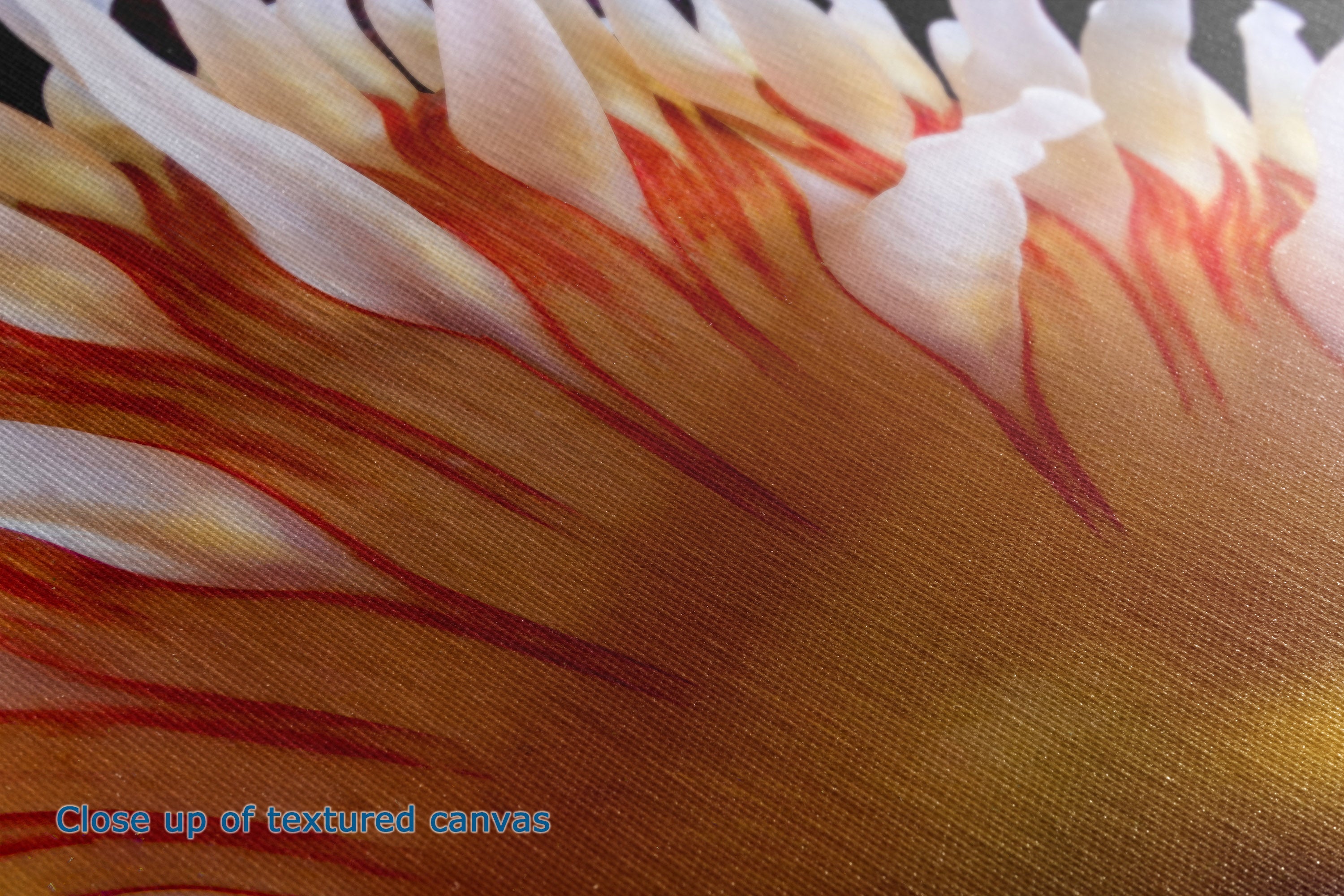 Close-up of a textured canvas print featuring a warm gradient of gold, orange, and brown with white and red streaks, accompanied by a blue text overlay reading 'Close up of textured canvas'.