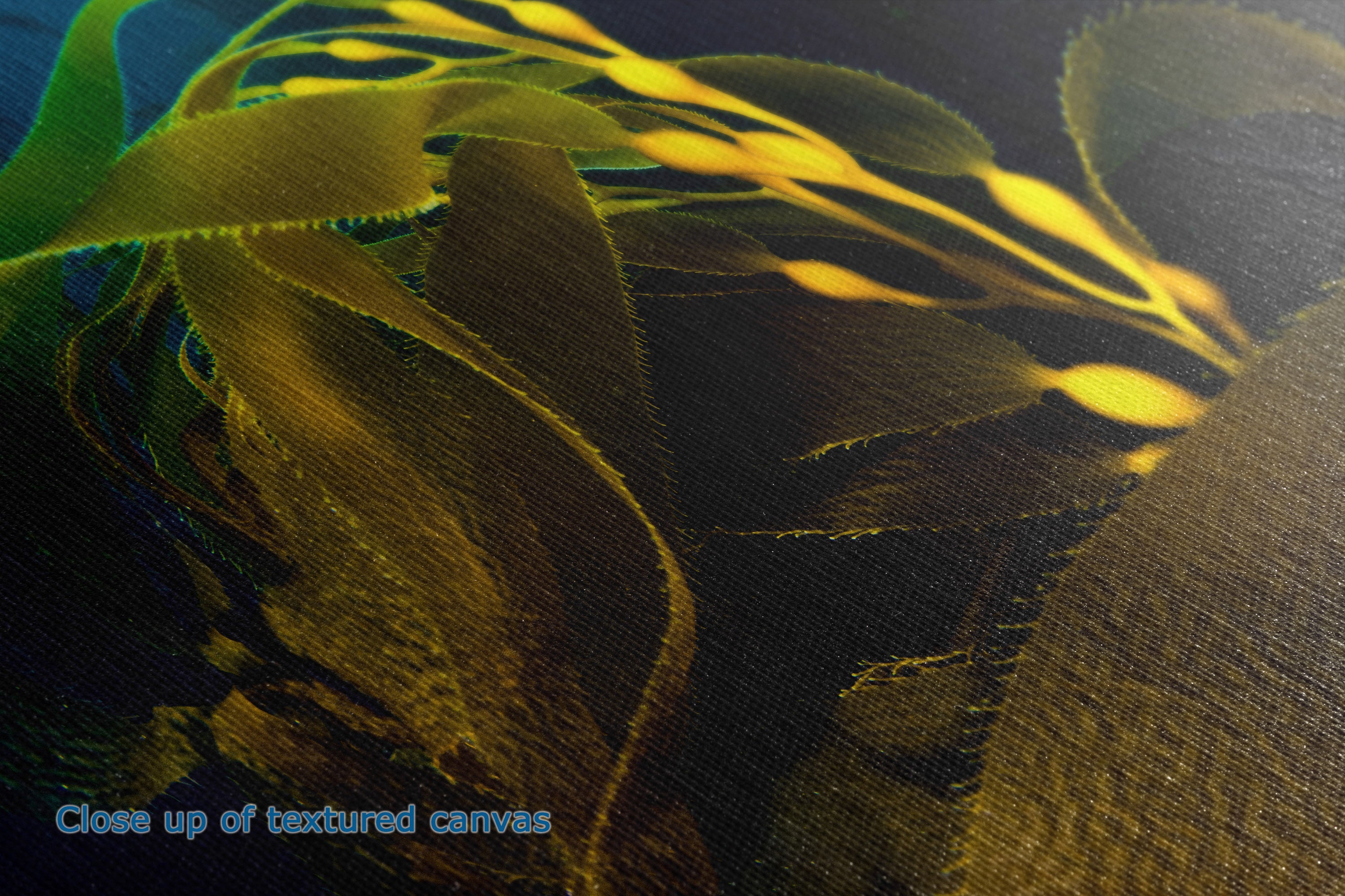 Close-up of a textured canvas print depicting a dark, abstract underwater scene with golden-yellow kelp or seaweed on a black background. Blue text in the bottom-left corner reads 'Close up of textured canvas'.