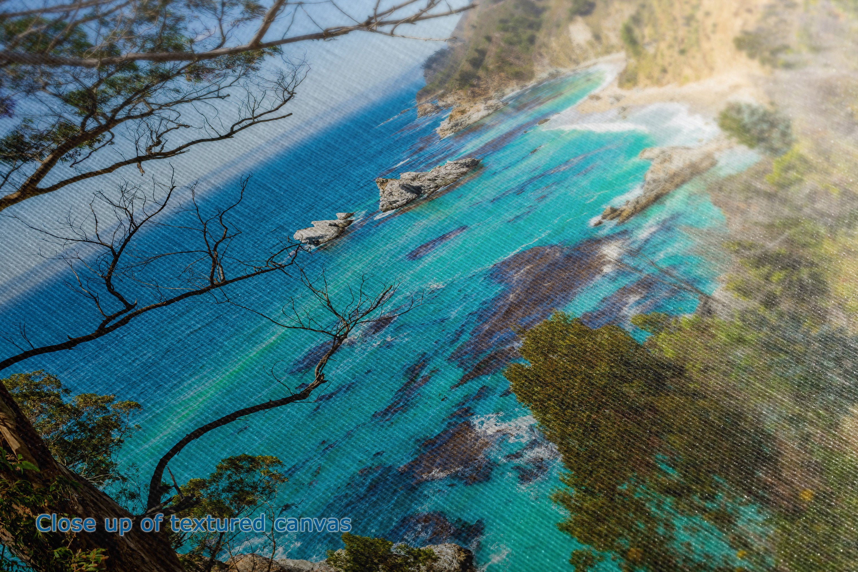 Coastal landscape artwork showing turquoise ocean water, rocky shoreline, and green trees, with a visible canvas texture and a small text note reading 'Close up of textured canvas' in the lower left.
