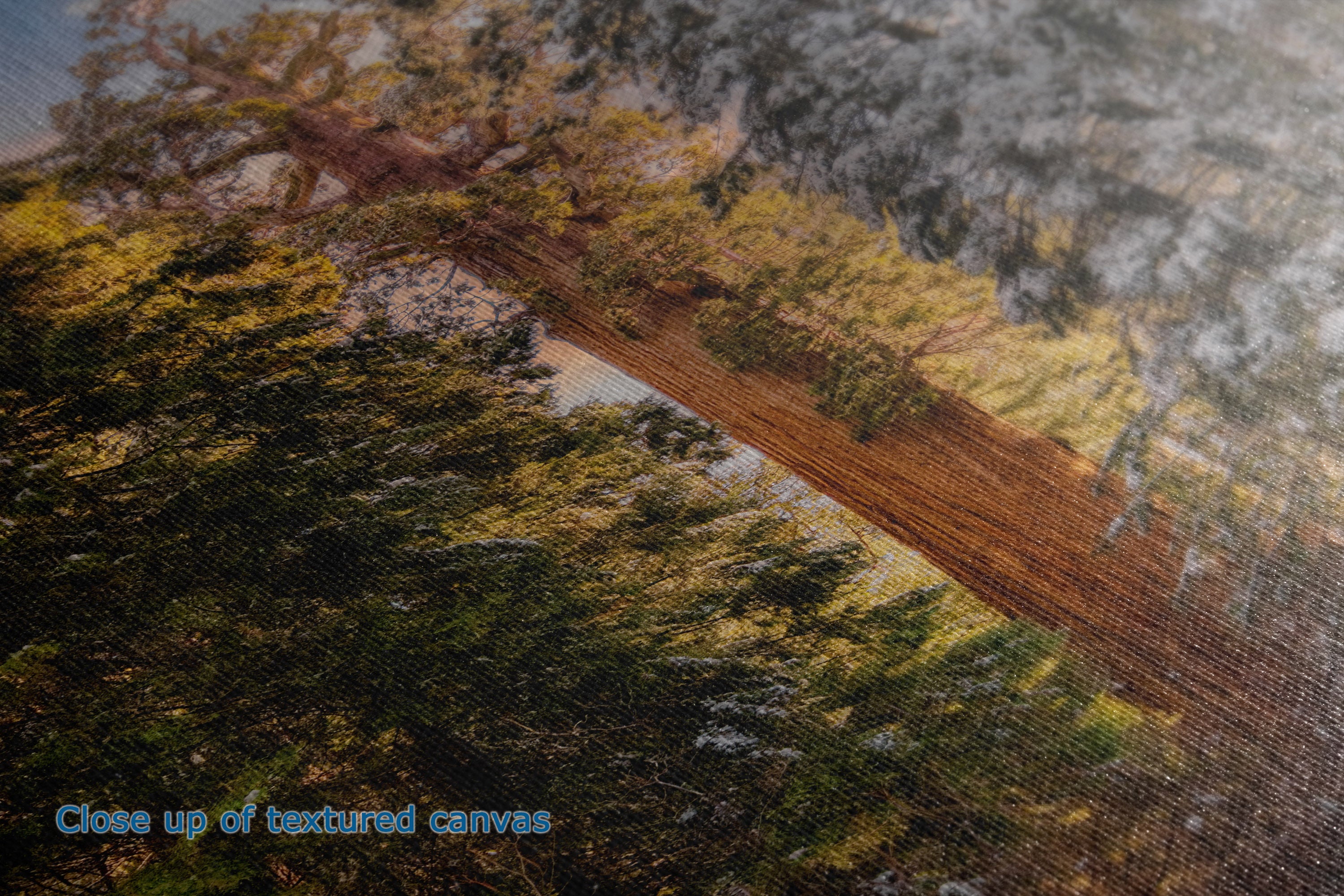 Close-up of a textured canvas print depicting a forest scene with green and yellow foliage, a brown dirt road, and gray sky, with blue text reading 'Close up of textured canvas' in the lower left.