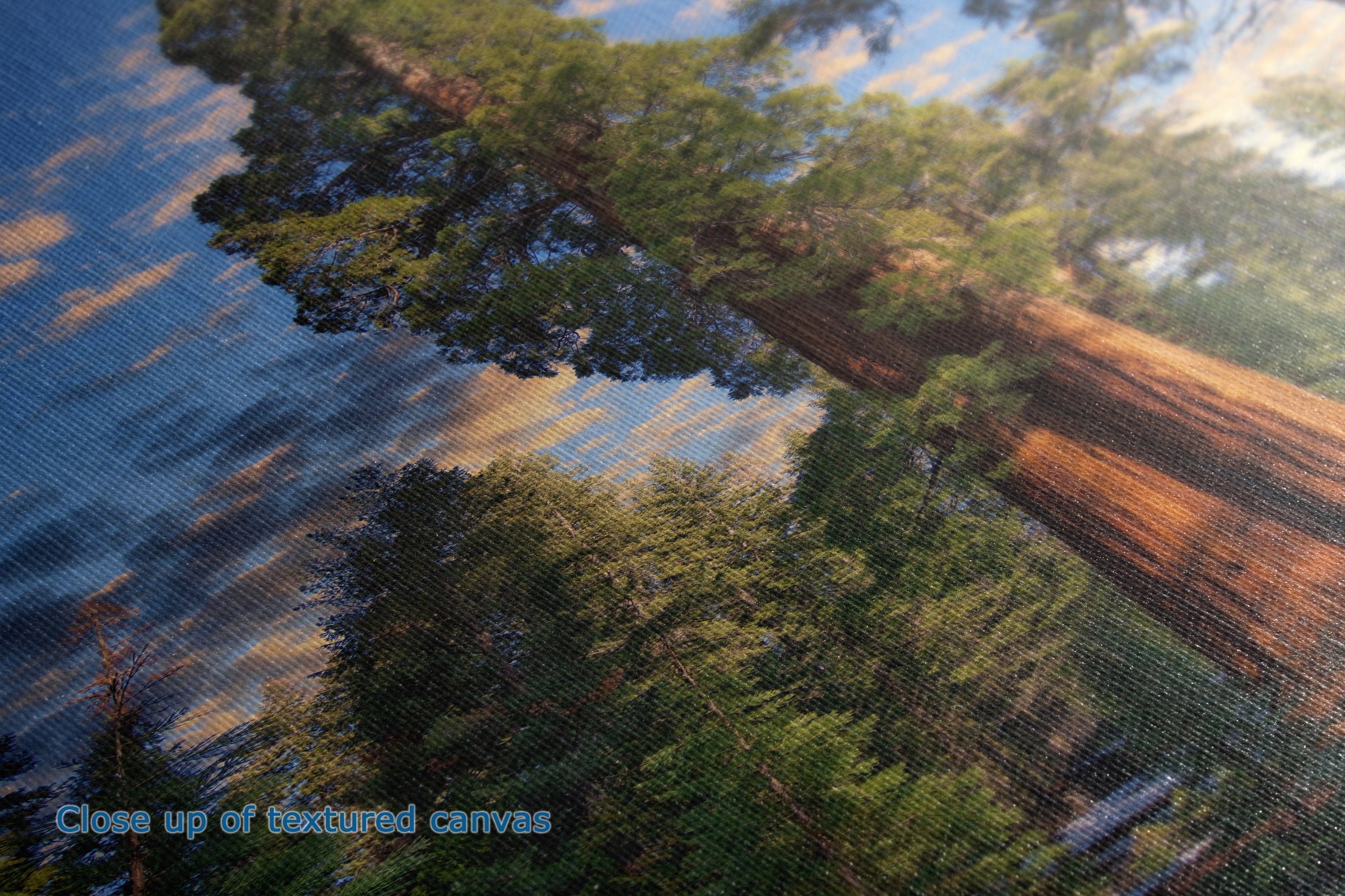 Close-up of a textured canvas print depicting a forest scene with green trees, a large brown tree trunk, and blue sky with warm golden light. The text 'Close up of textured canvas' is visible in the bottom-left corner.