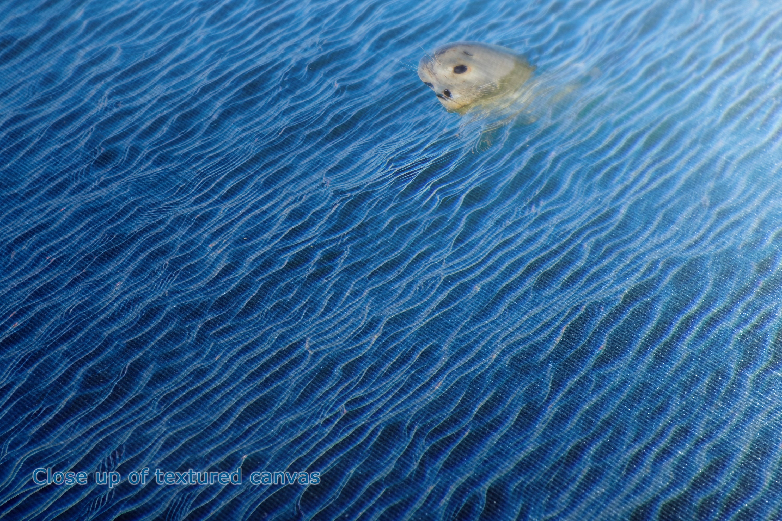 A close-up of a blue textured canvas print featuring a seal swimming in rippled water, with a small watermark in the bottom-left corner.