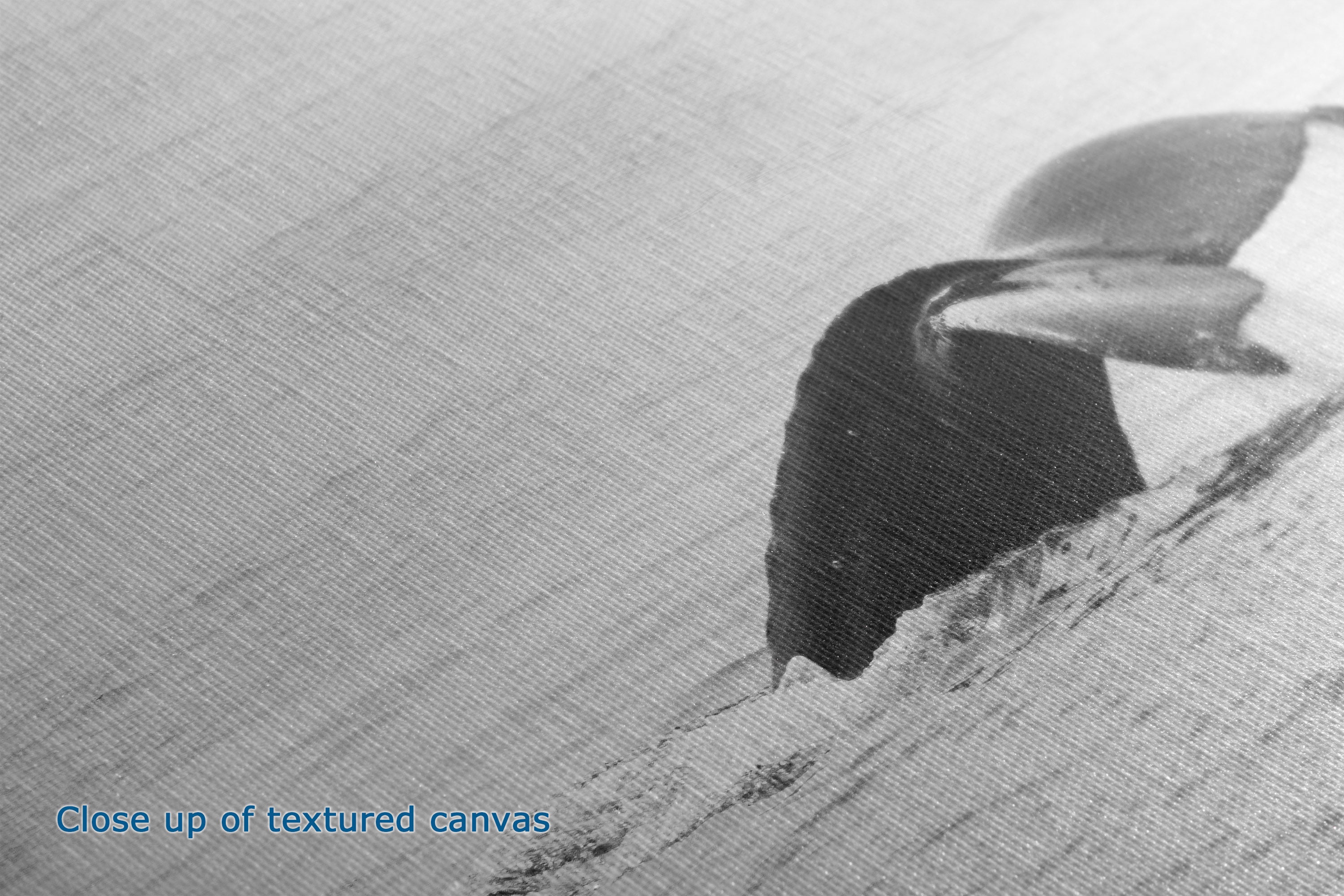 Close-up view of the detail of a textured canvas print, with blue text in the lower-left corner reading 'Close up of textured canvas'.