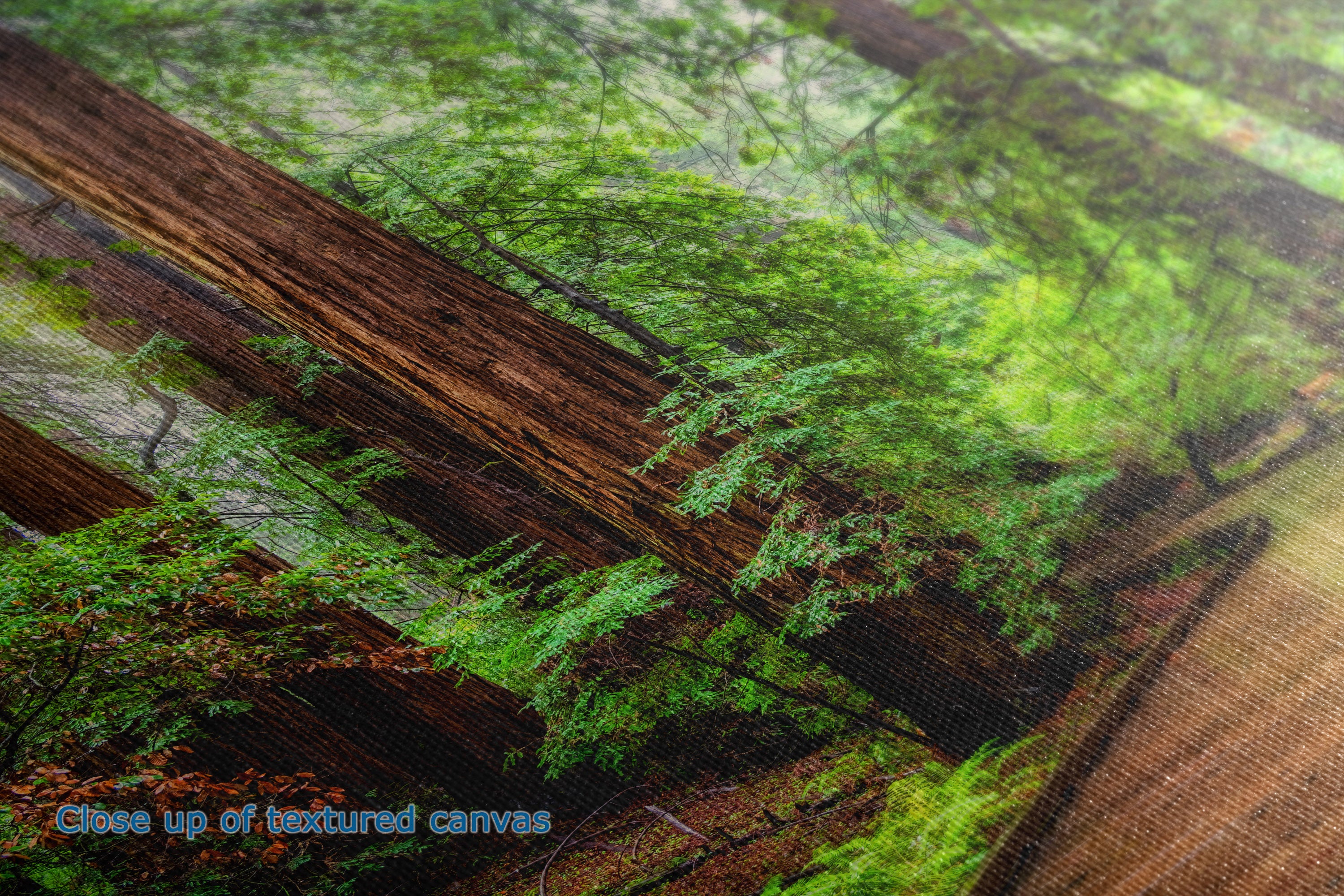 Close-up of a textured canvas print depicting a lush green forest floor with large fallen logs and mossy vegetation.