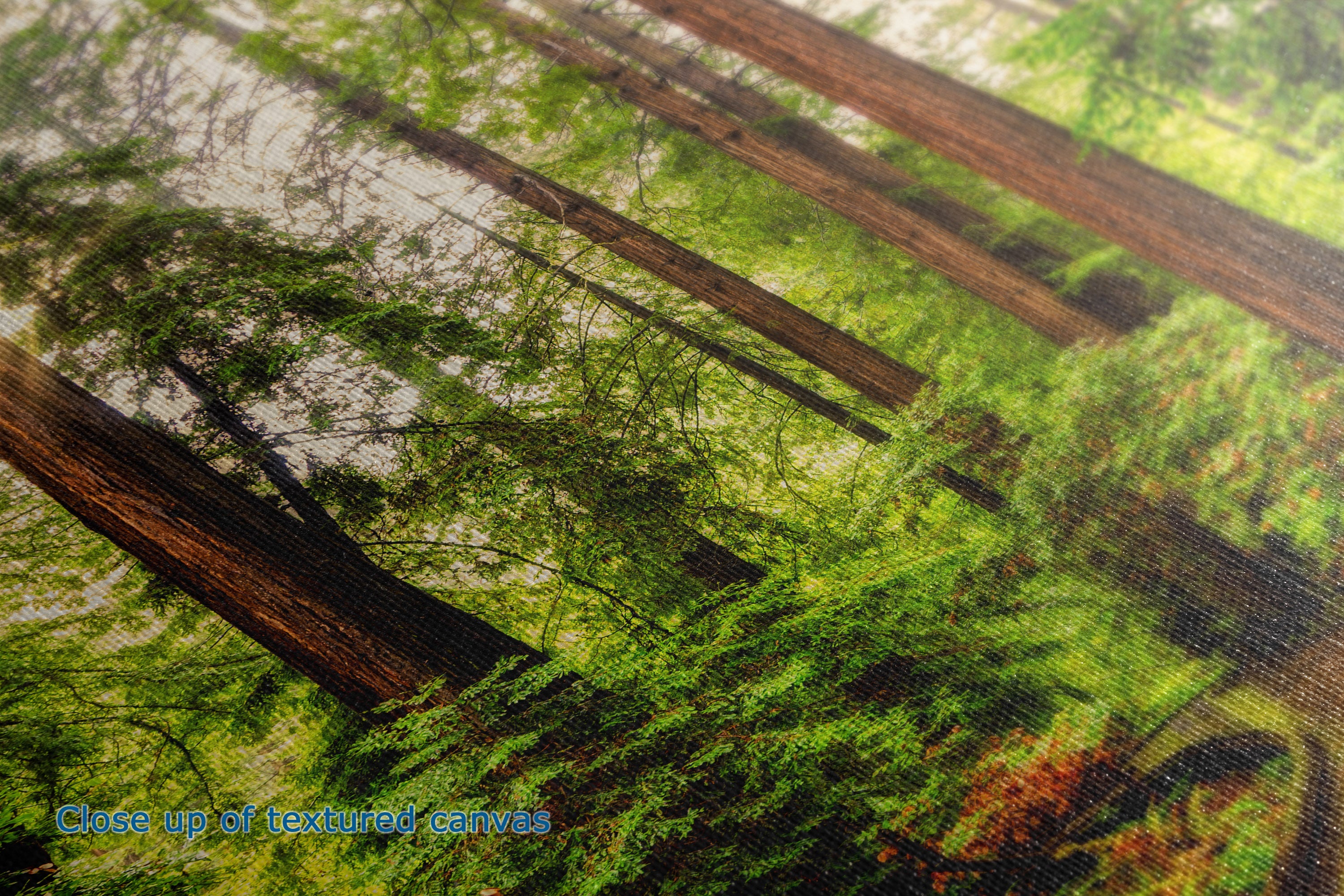 A close-up of a textured canvas print depicting a forest scene with tall tree trunks and lush green foliage, with a small blue text overlay in the bottom-left corner reading 'Close up of textured canvas'.