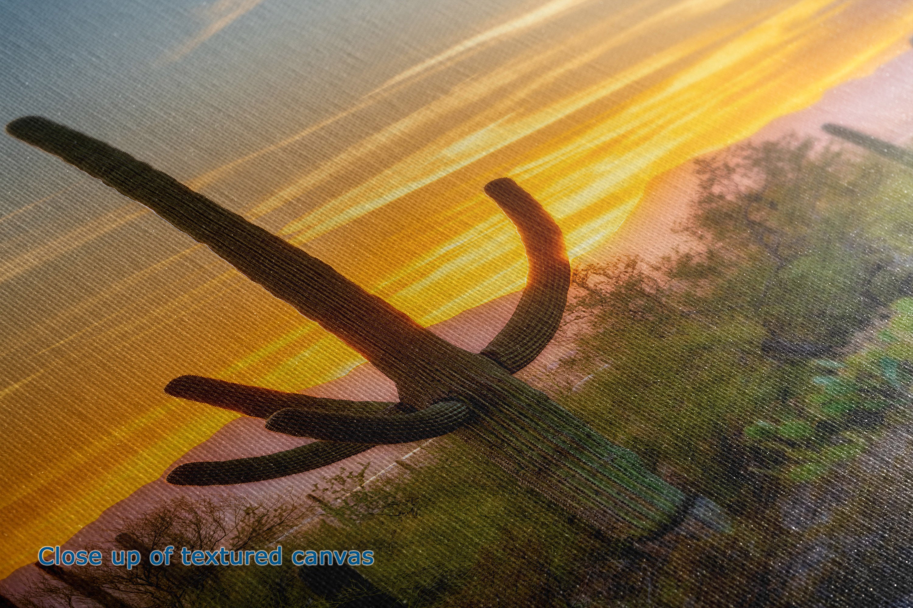 Close-up of a textured canvas print depicting a saguaro cactus silhouette against a dramatic golden sunset sky with desert vegetation.