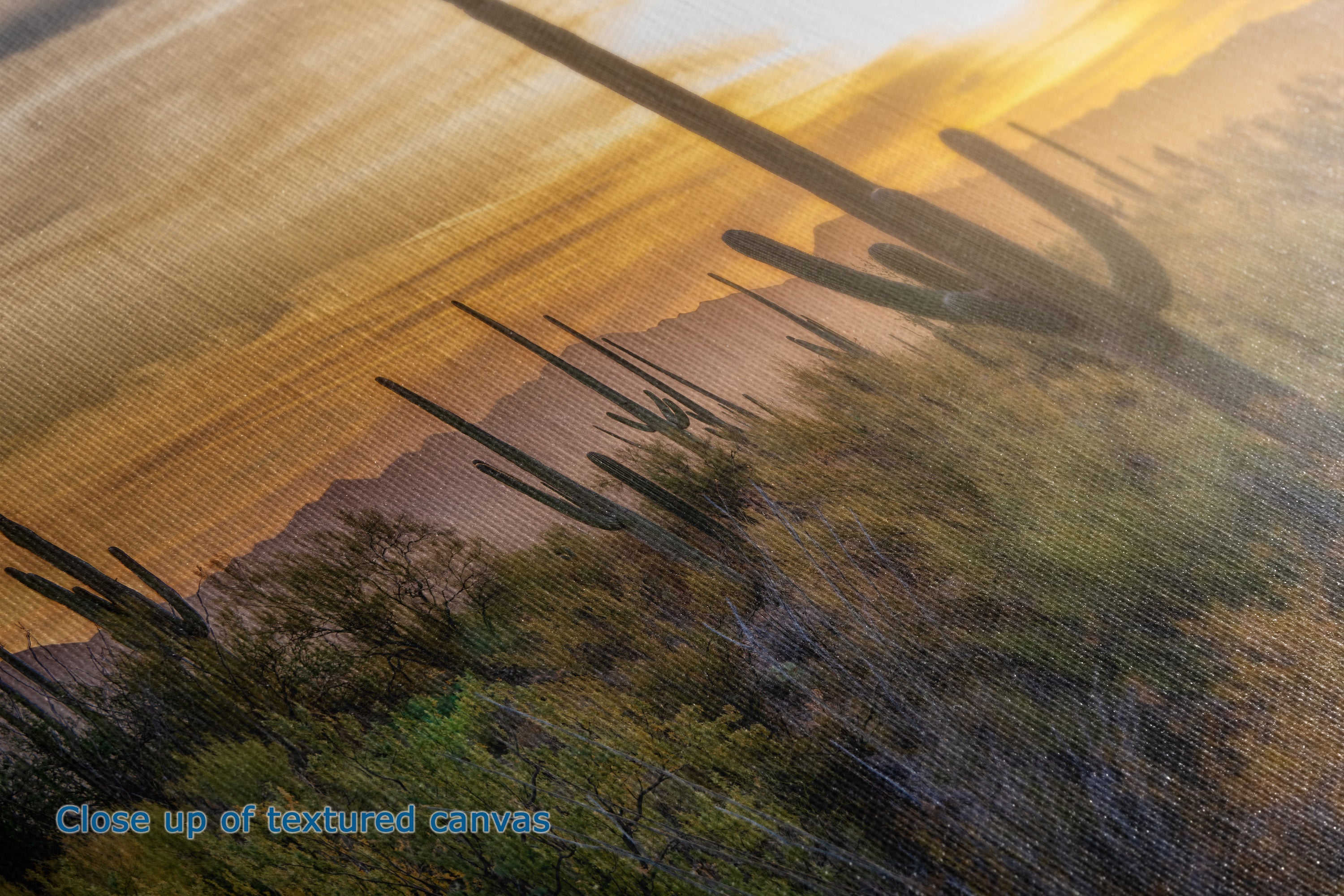 Close-up of a textured canvas print to show the texture and detail of the print option depicting a desert landscape with saguaro cacti silhouetted against a warm golden sky.