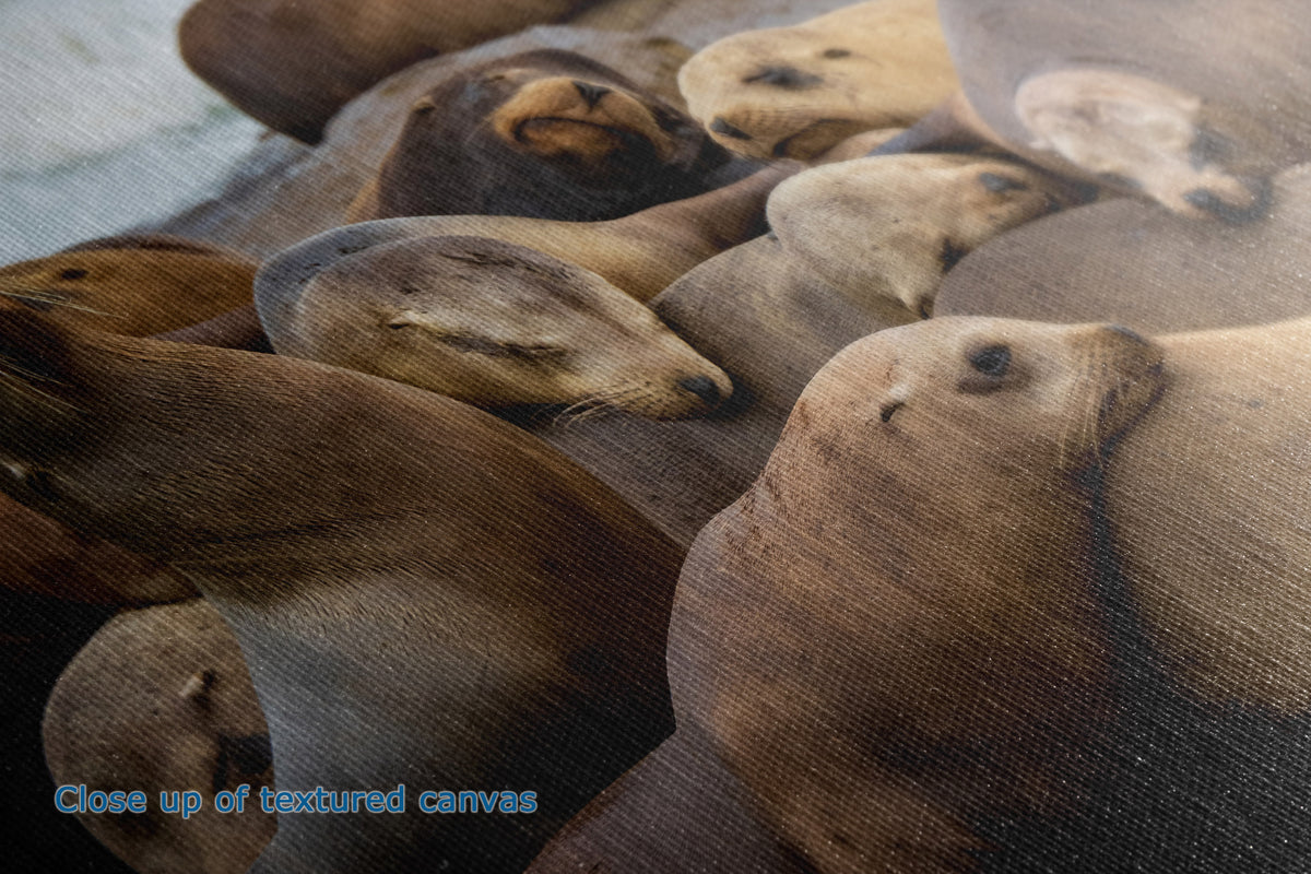 A close-up view of a canvas print showing the detail of the texture, depicting a pile of sea lions, with a blue text overlay in the bottom-left corner reading 'Close-up of textured canvas'.