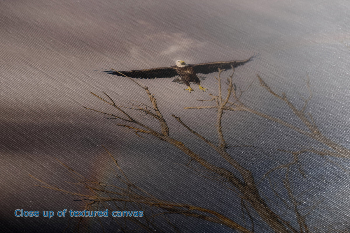 A close-up of the detail and texture of a canvas print depicting a bald eagle flying over bare tree branches, with blue text in the lower-left corner reading 'Close up of textured canvas'.