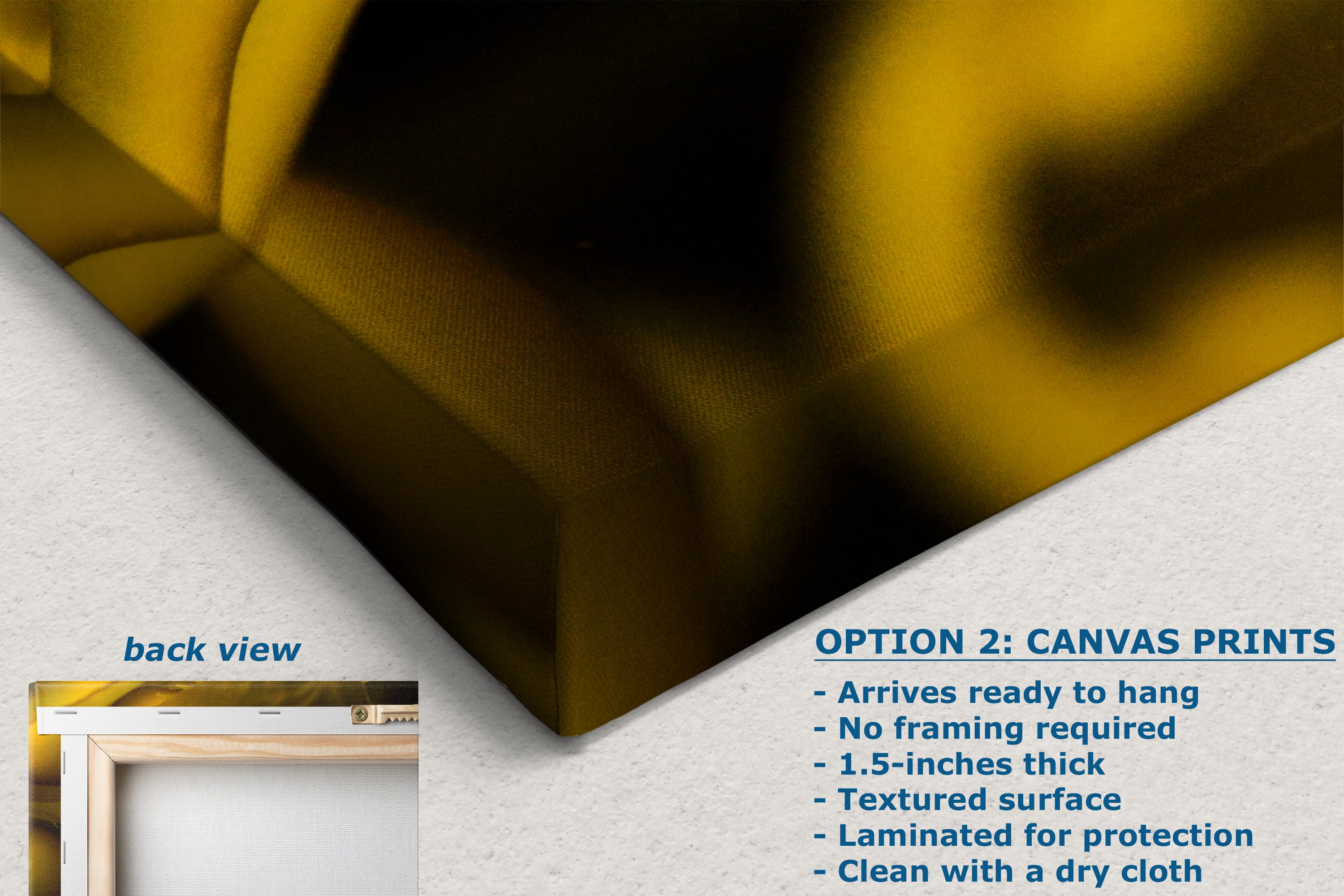 Kelp Forest Seaweed Pictures Underwater Scenery, Ocean Life Marine Biology Nature Photo Relaxation Artwork Decor for Office Dorm Room Decor