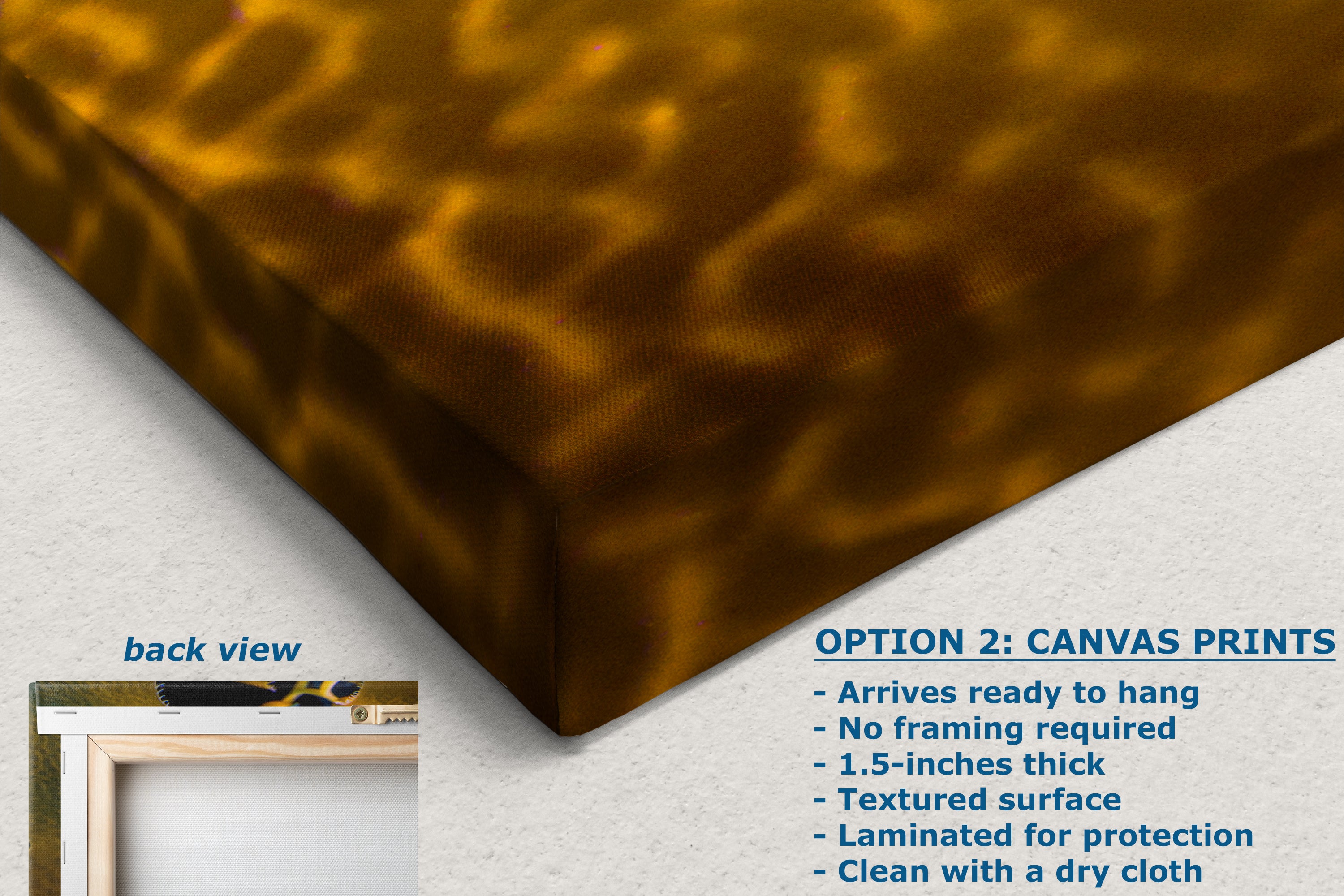 Kelp Forest Seaweed Pictures Underwater Scenery, Ocean Life Marine Life Decor, Nature Photo, Under the Sea Wall Art, Marine Biology Gift