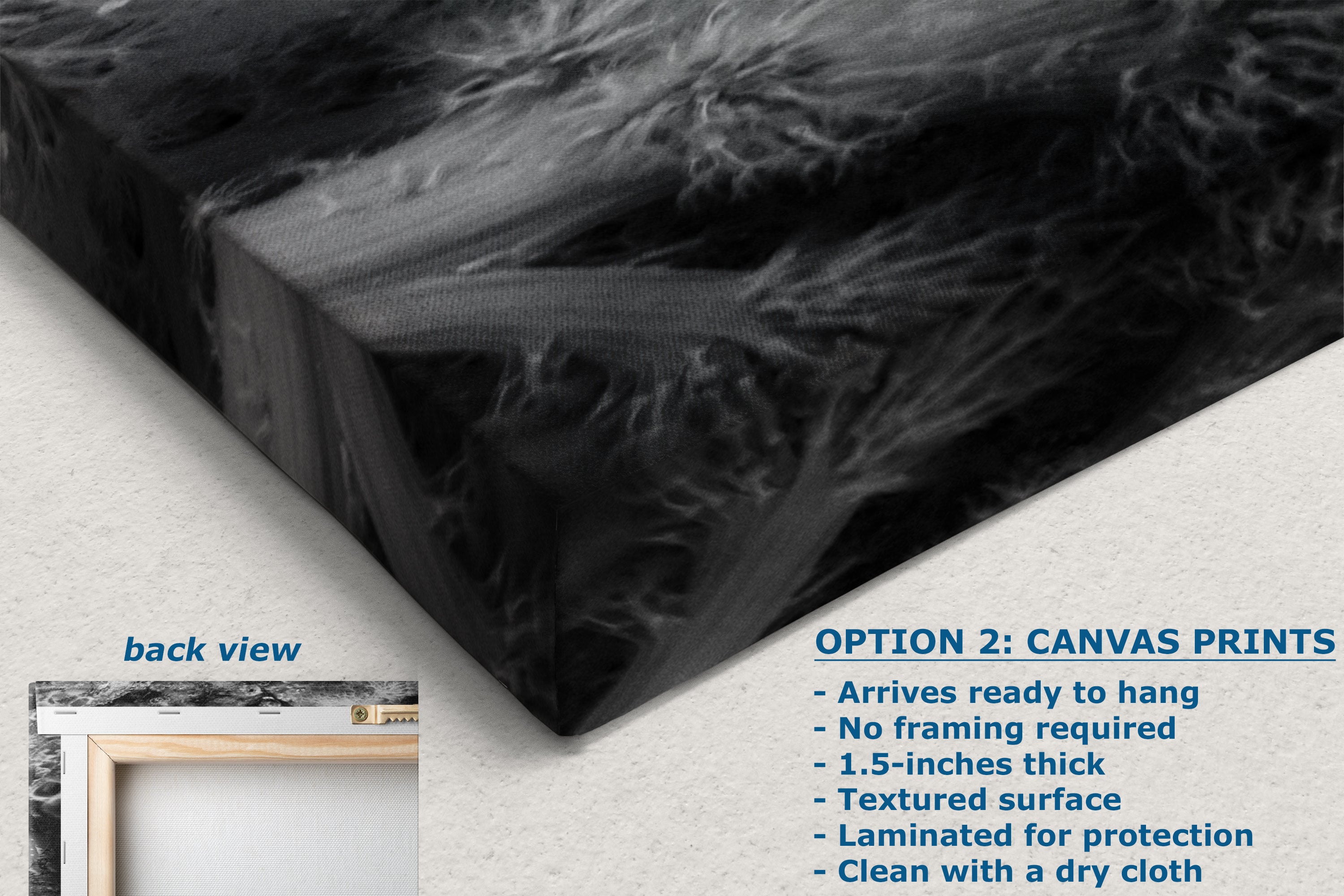 Sea Anemone Picture Ocean Life Underwater Scenery Nature Photo Black and White Art for Marine Biology, Ocean Lovers, and Relaxation Decor