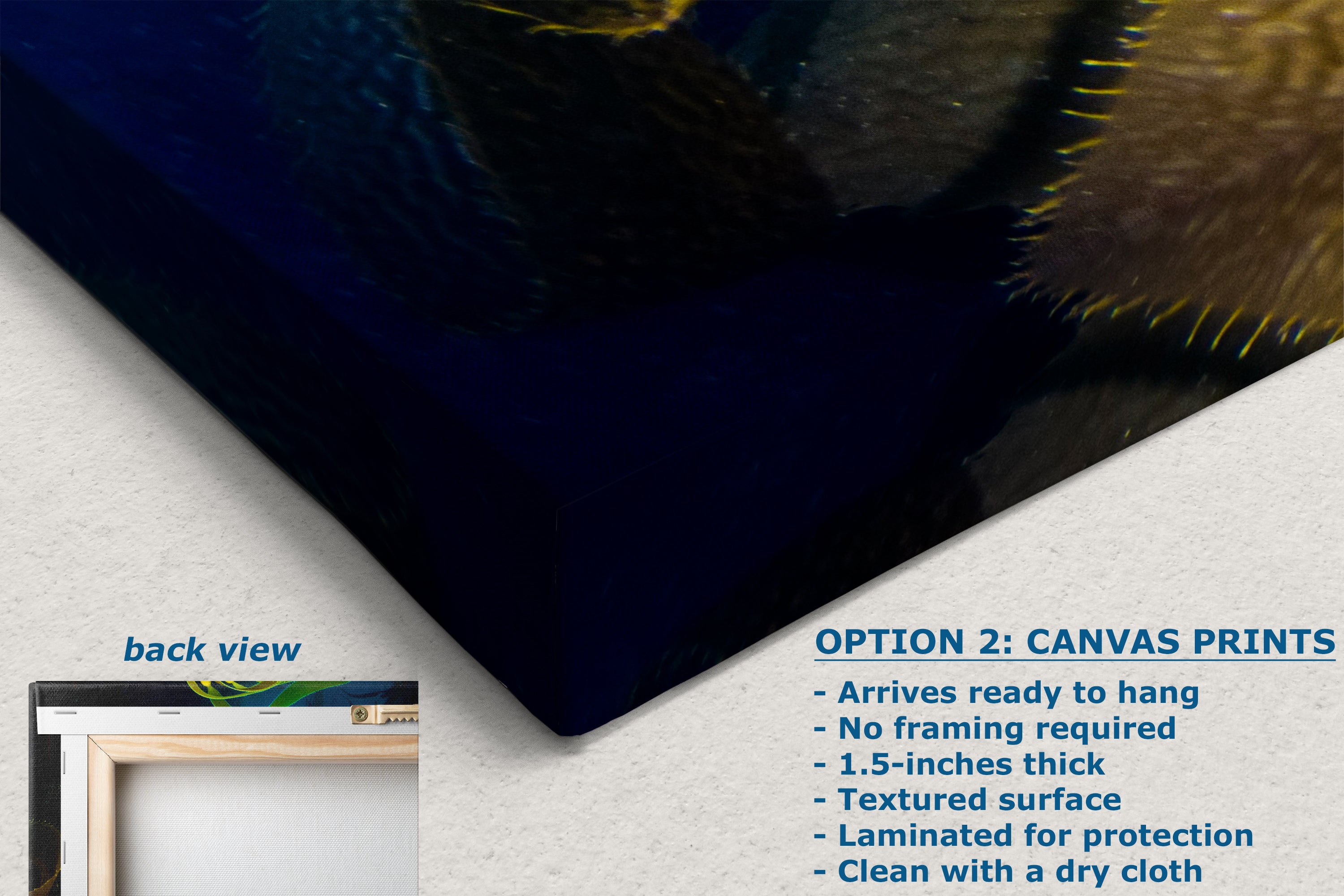 Kelp forest seaweed pictures underwater scenery, ocean life marine biology art, relaxation decor, ocean lover gift, deep sea nature photo