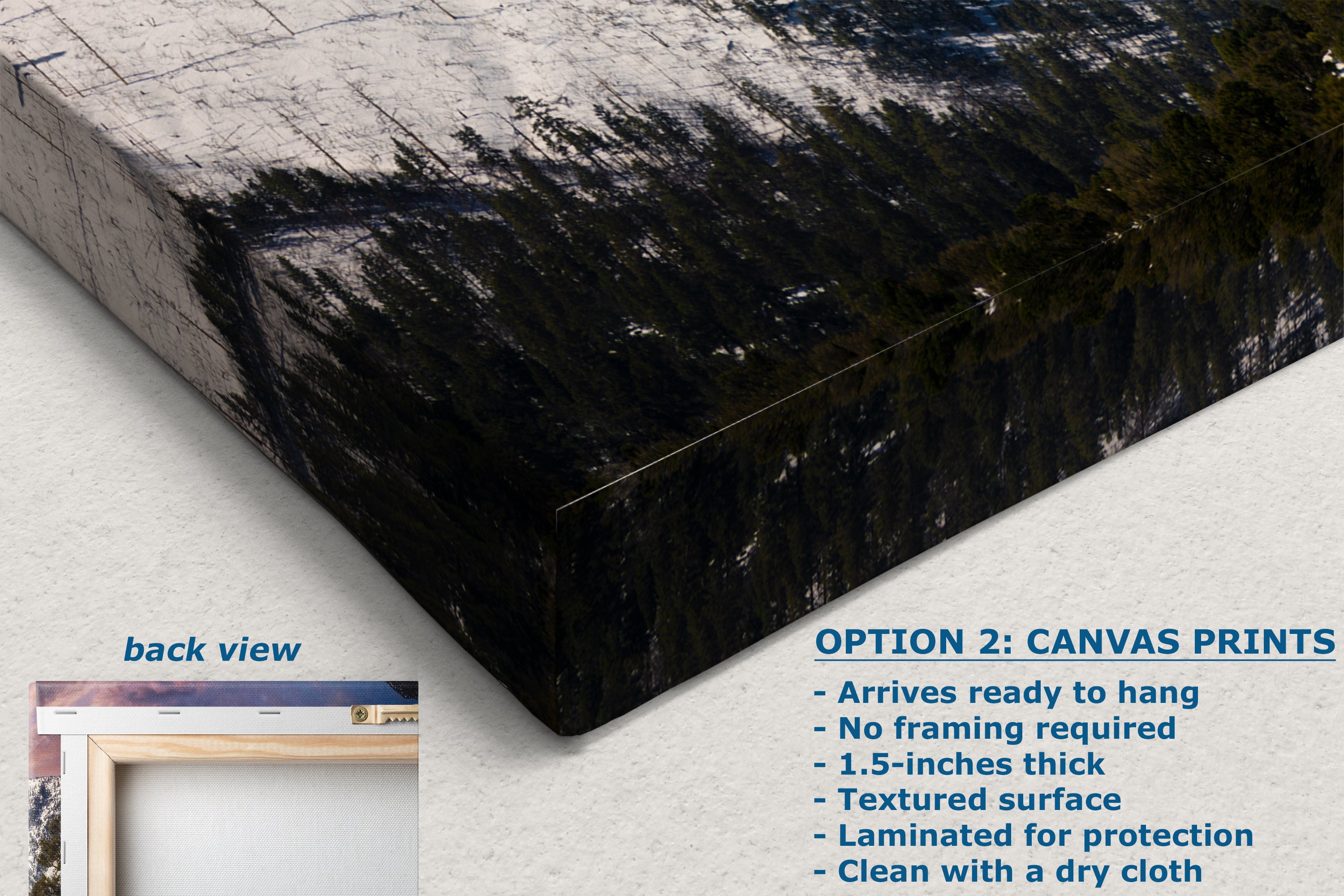 Mt Charleston Nevada Mountain Picture, Snowy Scenery Nature Photo Relaxation Artwork, Winter Landscape for Office, Dorm, Bohemian Decor