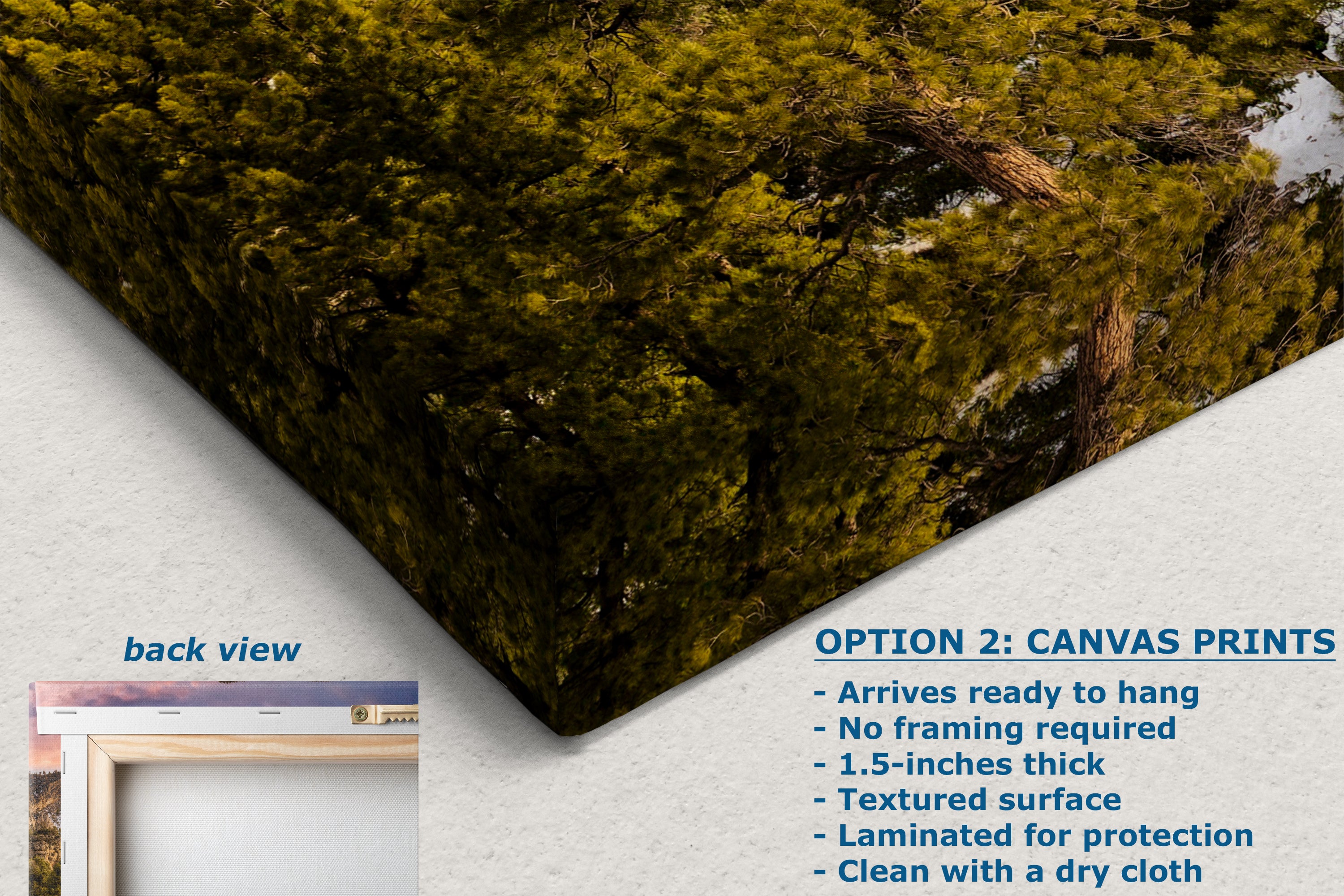 Mt Charleston Nevada Mountain Picture, Snowy Scenery Nature Photo Relaxation Artwork | Winter Landscape for Office, Dorm, Bohemian Decor