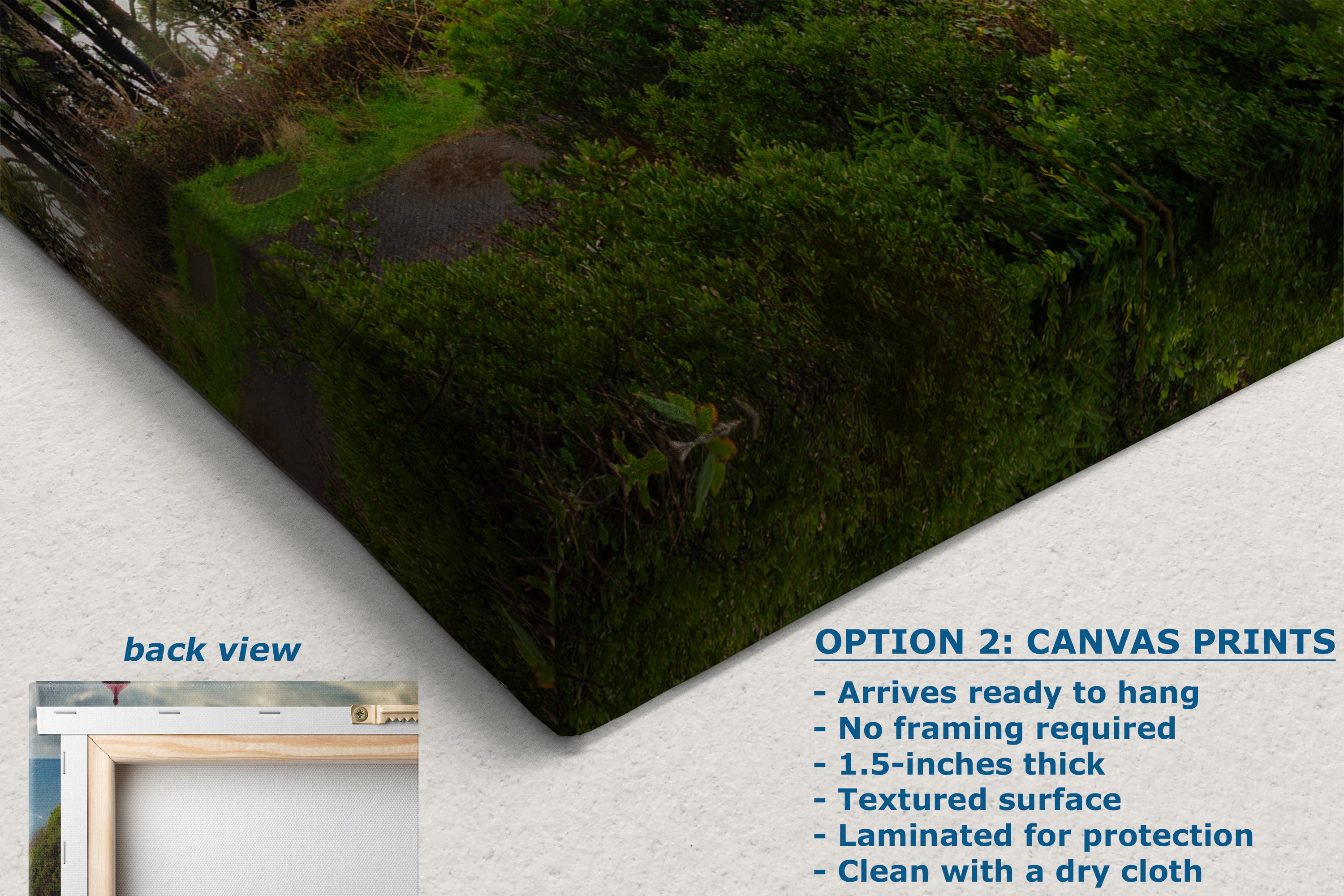 Haceta Head Lighthouse Picture, Oregon Coast Ocean Picture, Pacific Northwest Beach Photo Framed Coastal Decor for Ocean Lovers