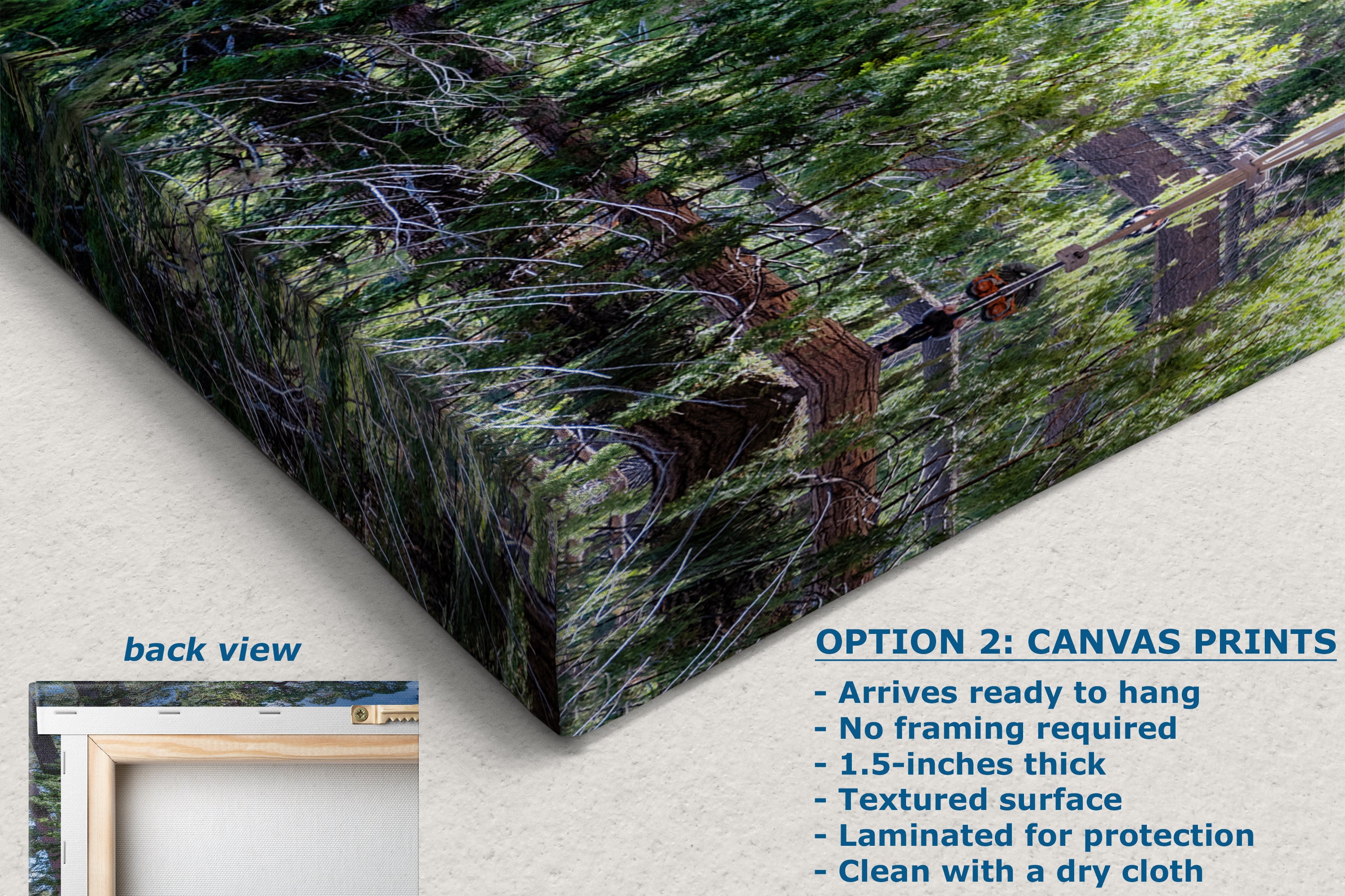 Giant Sequoia Tree Forest Picture Nature Photo, Yosemite Redwood Trees, Mariposa Grove Tree Hugger Decor, Forest Bathing for Relaxation