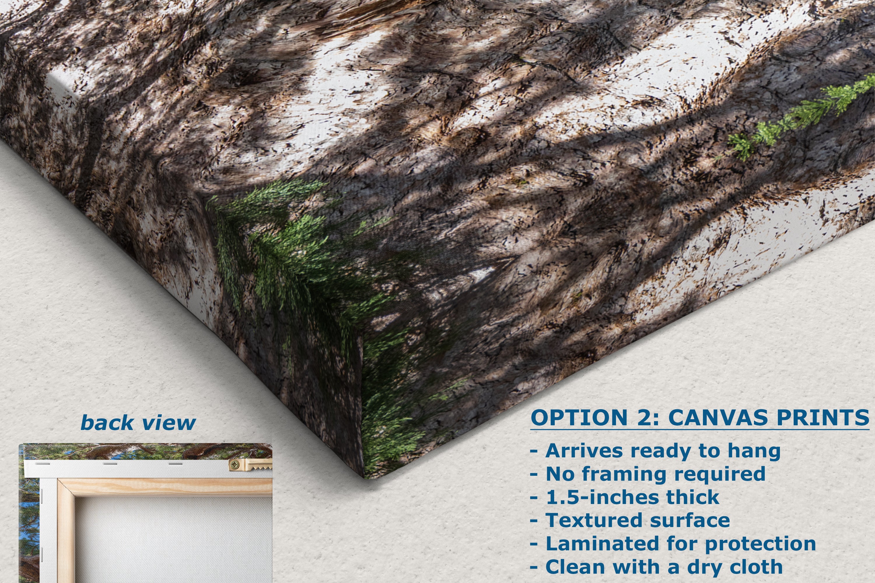 Giant Sequoia Tree Forest Picture Nature Photo, Yosemite Mariposa Grove Redwood Trees, Forest Bathing Relaxation Artwork for Nature Lovers