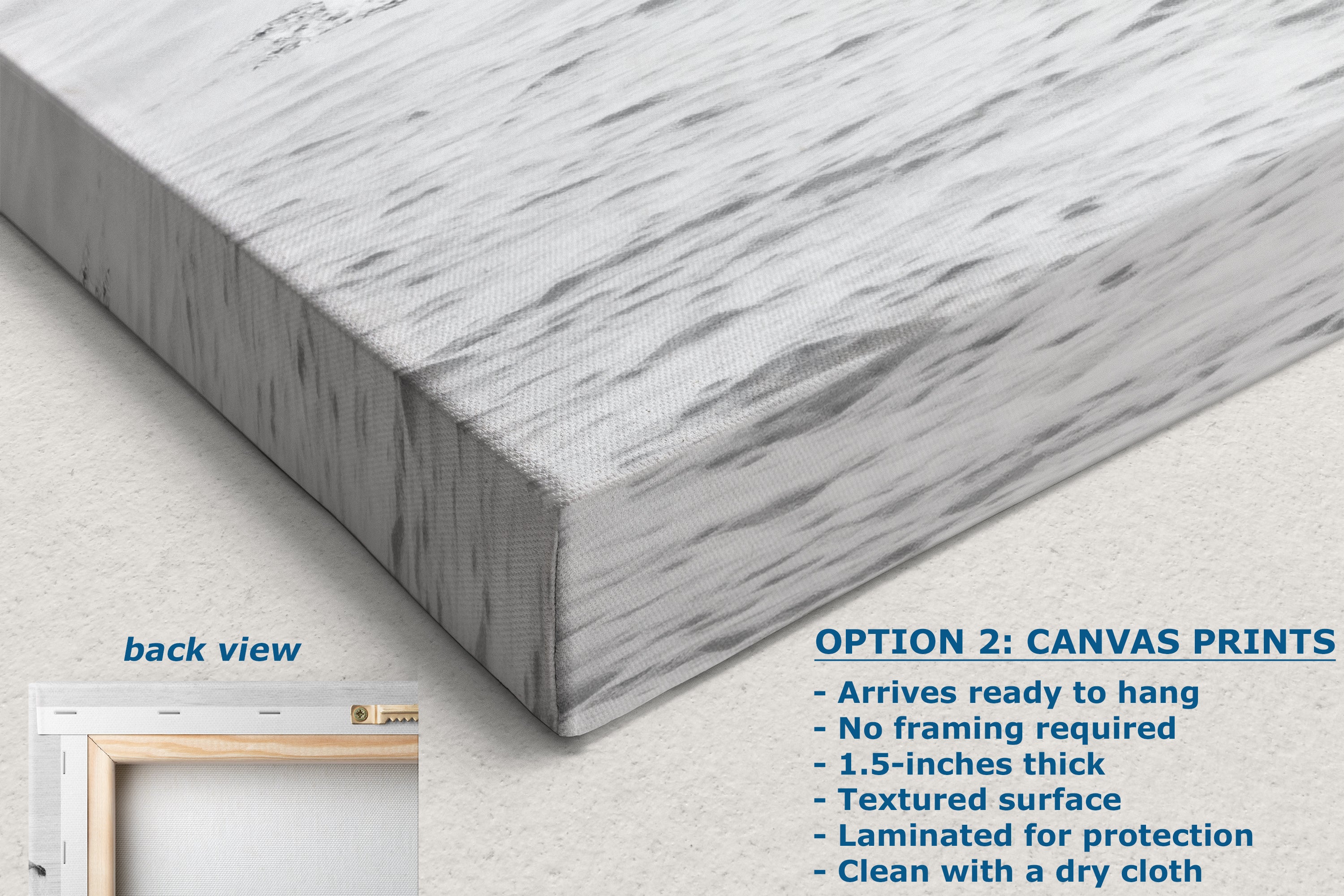 Humpback Whale Marine Mammal Wildlife Photography, Black and White, Monterey Bay Ocean Scene Art Print for Nature Lovers and Marine Conservation Decor