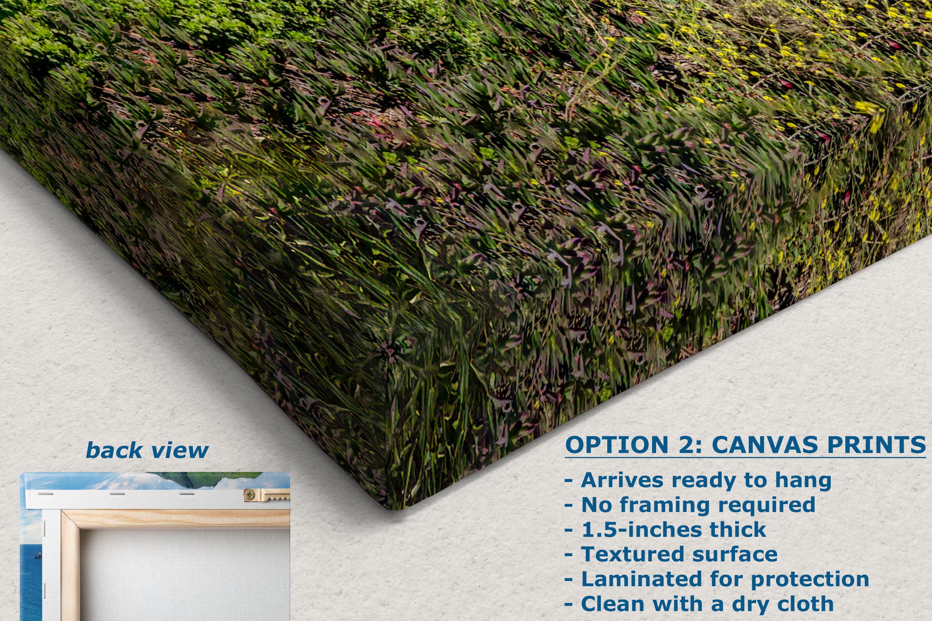 Bixby Bridge Ocean Picture, Big Sur California Coastline Nature Photo Panorama