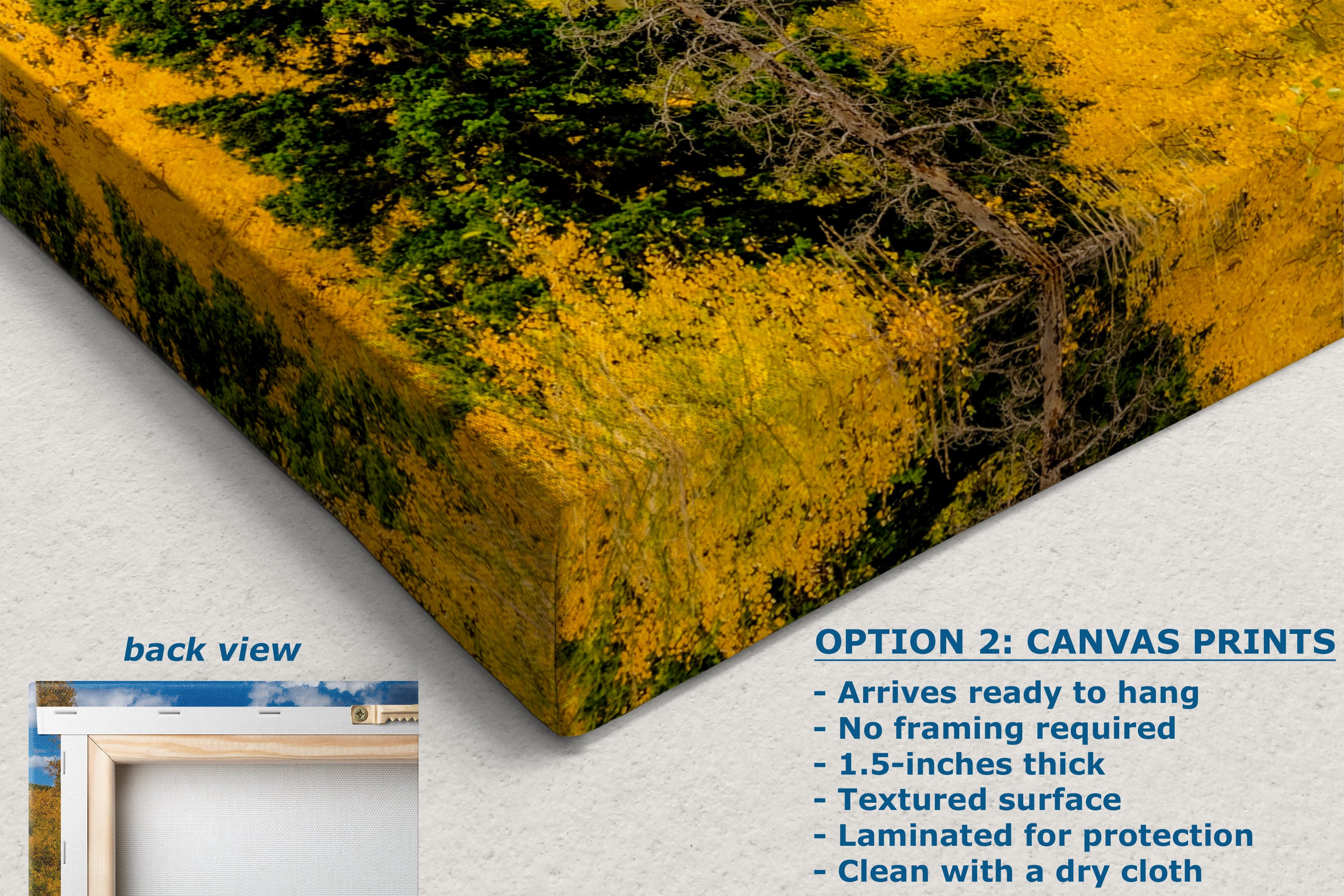 Colorado San Juan Mountains Picture, Fall Colors Nature Photo of Aspen Trees for Relaxation Meditation and Home Decor