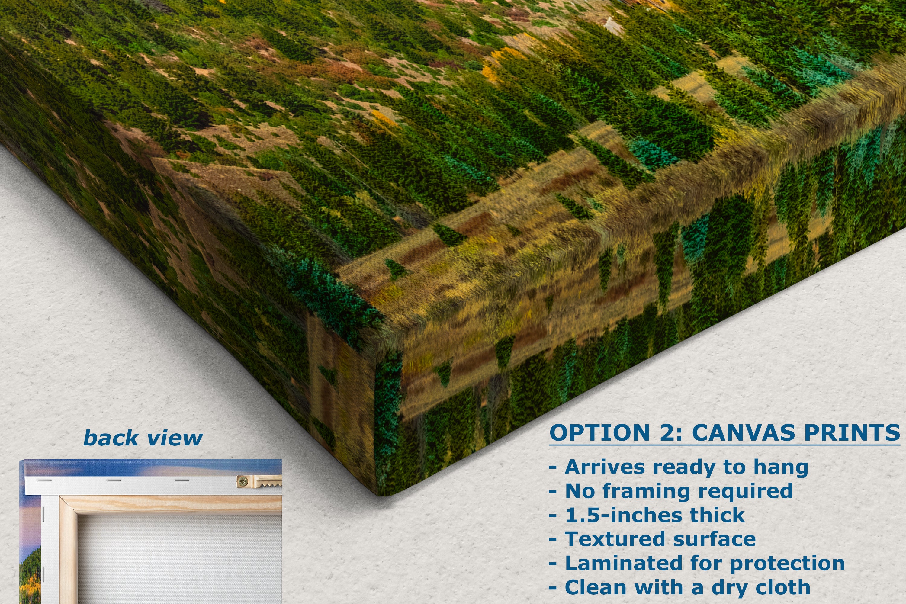 Telluride Colorado San Juan Mountain Picture, Fall Colors Aspen Trees Forest Picture Nature Photo for Relaxation Artwork, Meditation and House Decor