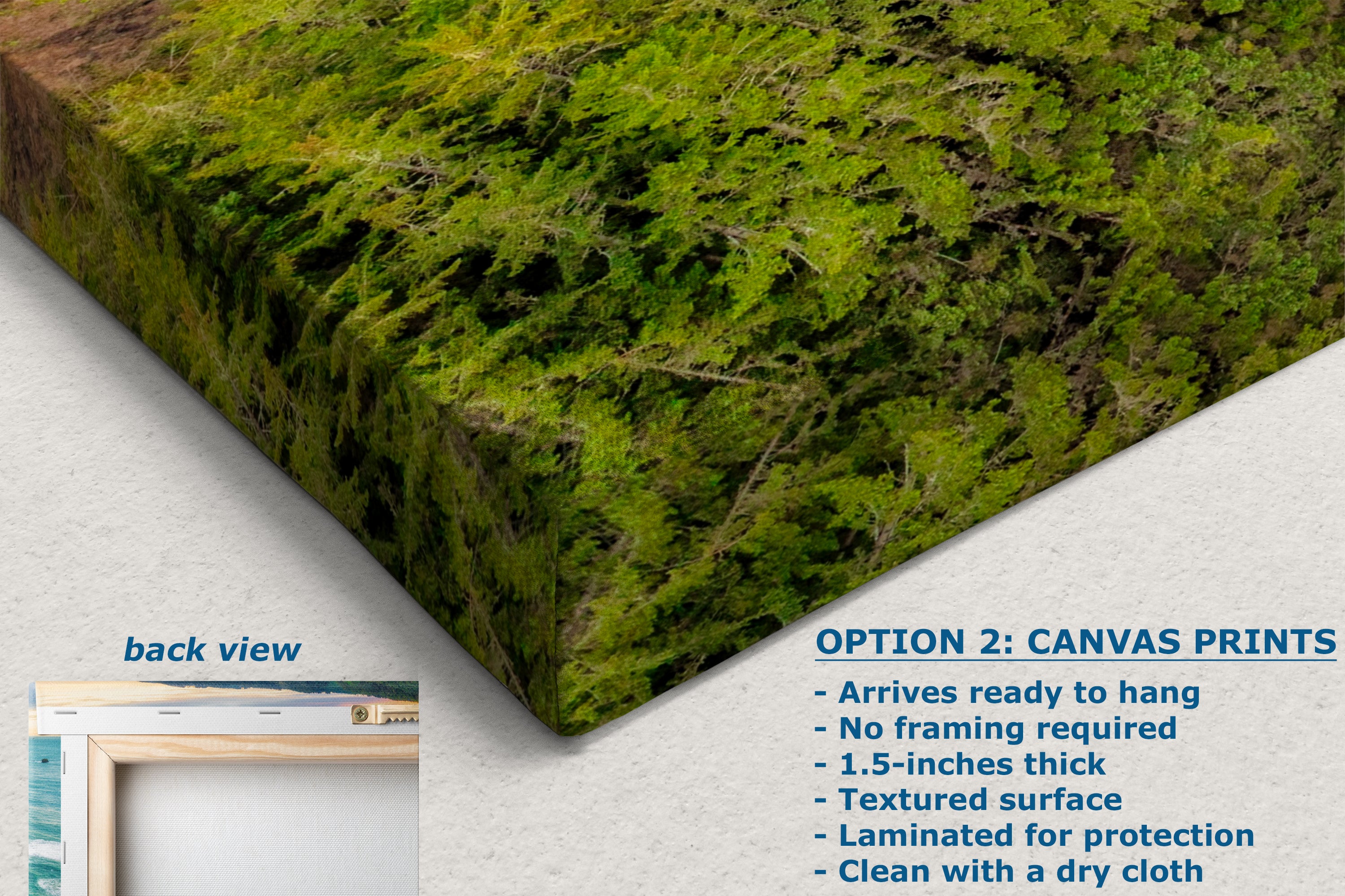 Oregon Coast Ocean Picture, Pacific Northwest Sunrise Nature Photo Relaxation Artwork for Meditation, Apartment, Office & House Decor