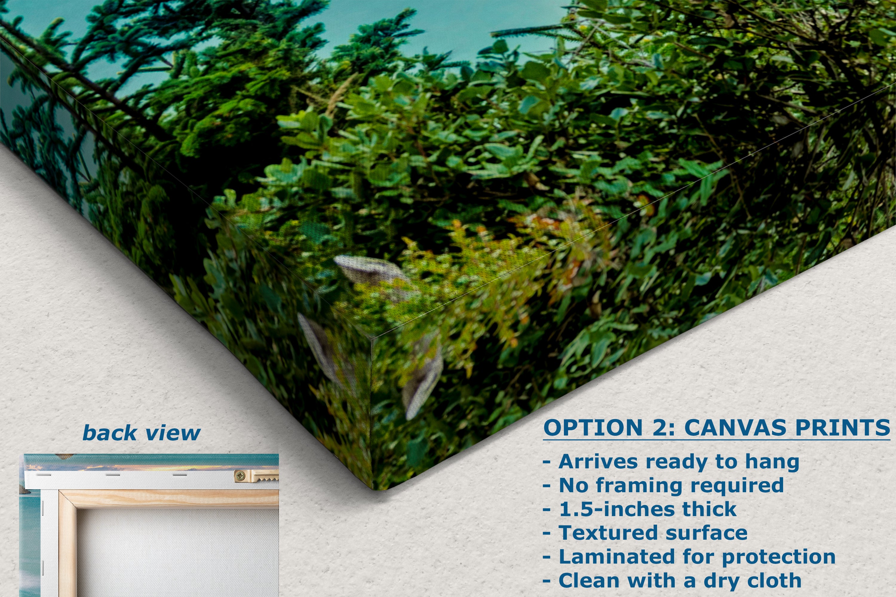 Sea Arch Oregon Coast Ocean Picture, Pacific Northwest Nature Photo Relaxation Artwork for Meditation, Apartment, Office & House Decor