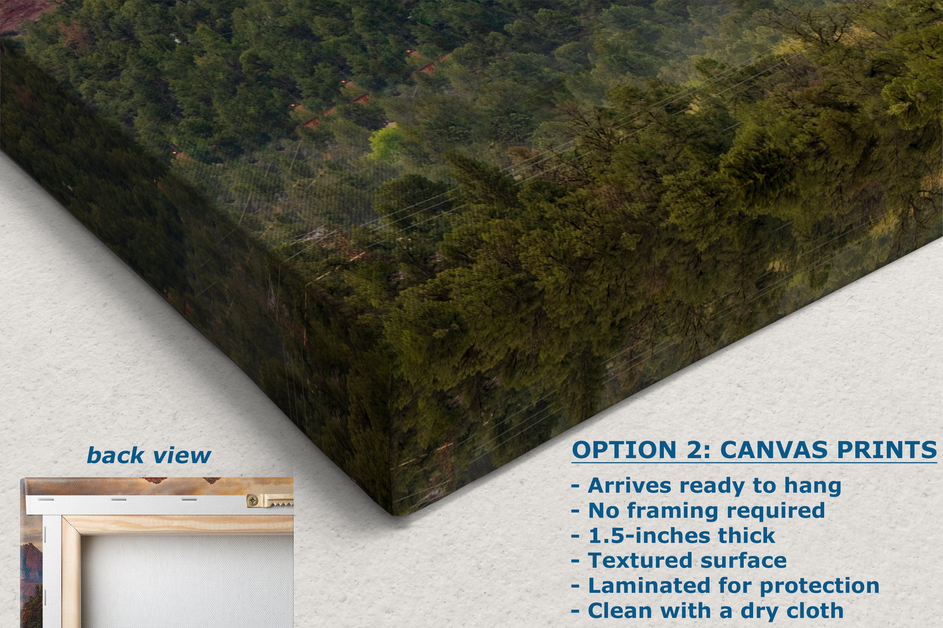 Cathedral Rock, Moody Sedona Arizona Desert Picture Nature Photo Relaxation Artwork for Meditation, Office, and House Decor