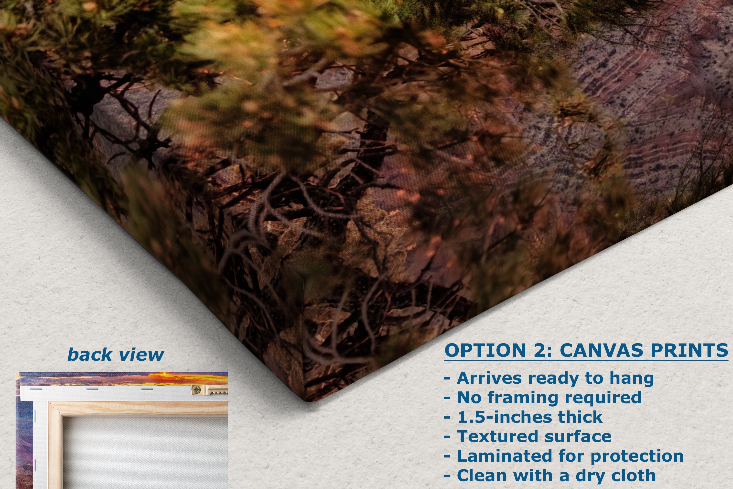 Grand Canyon National Park, Arizona Desert Picture Nature Photo, Bohemian Style Relaxation Artwork for Meditation, Office & House Decor