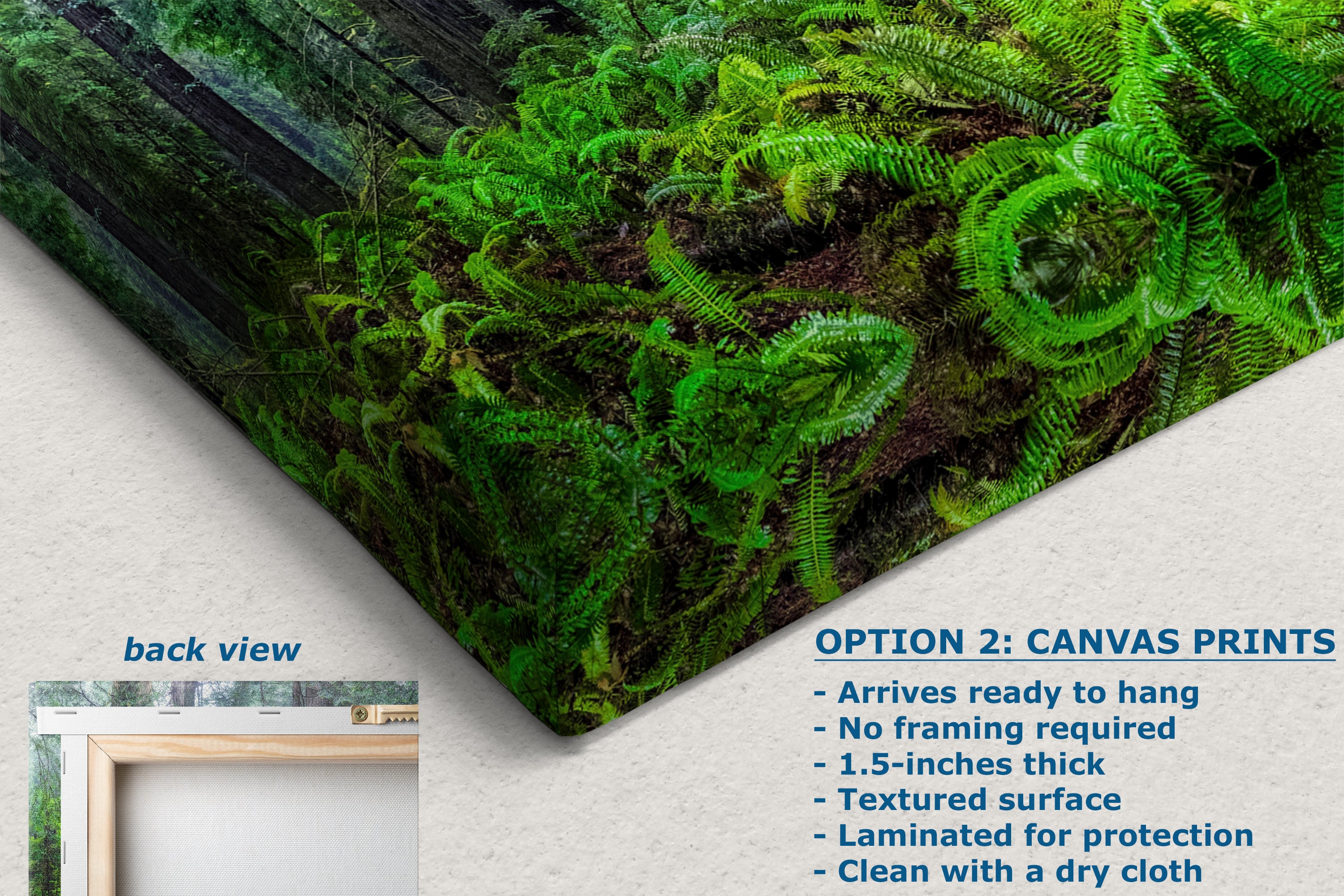 Redwood Trees Forest Picture Nature Photo, Forest Bathing in Misty California Redwoods Wall Art, for Relaxation in the Home and Office