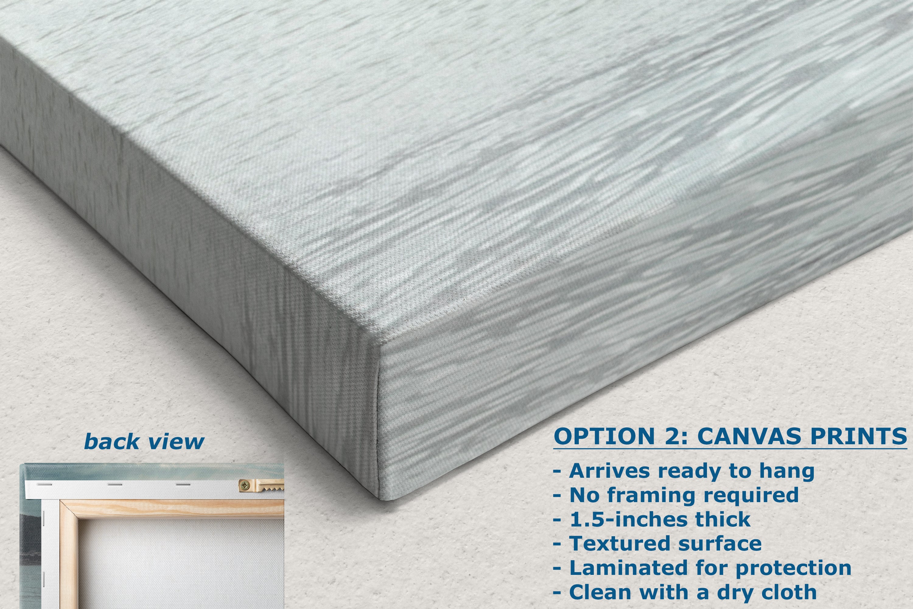 Humpback Whale Marine Mammal Wildlife Photography, Ocean Nature Art, Marine Conservation, Dolphin & Sea Life Gift, House Decor