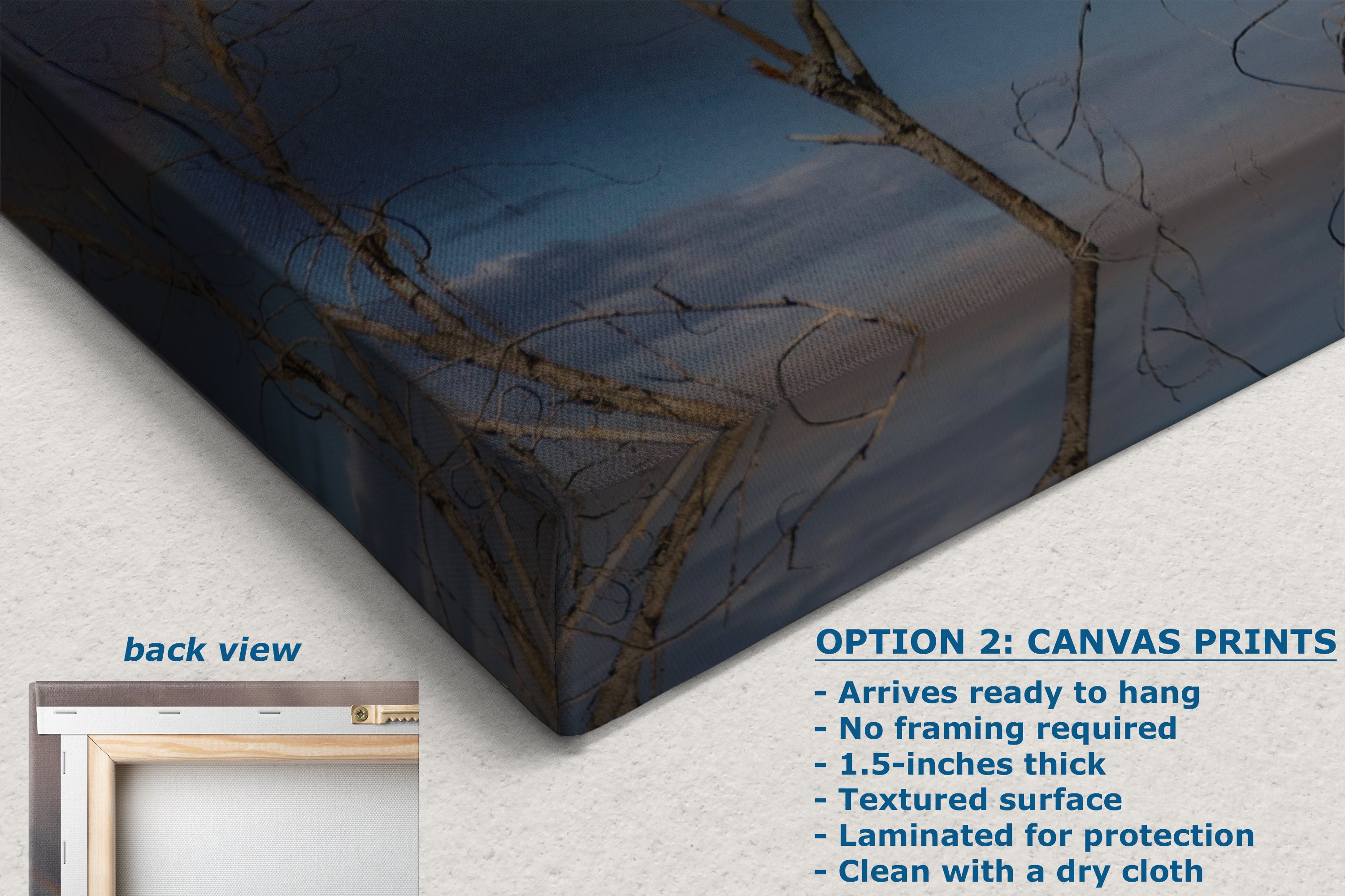 Soaring Bald Eagle Picture Wildlife Photography Wall Art, Nature Photo, Bird Photography, Rustic Cabin Decor, Office or Dorm Room Wall Decor