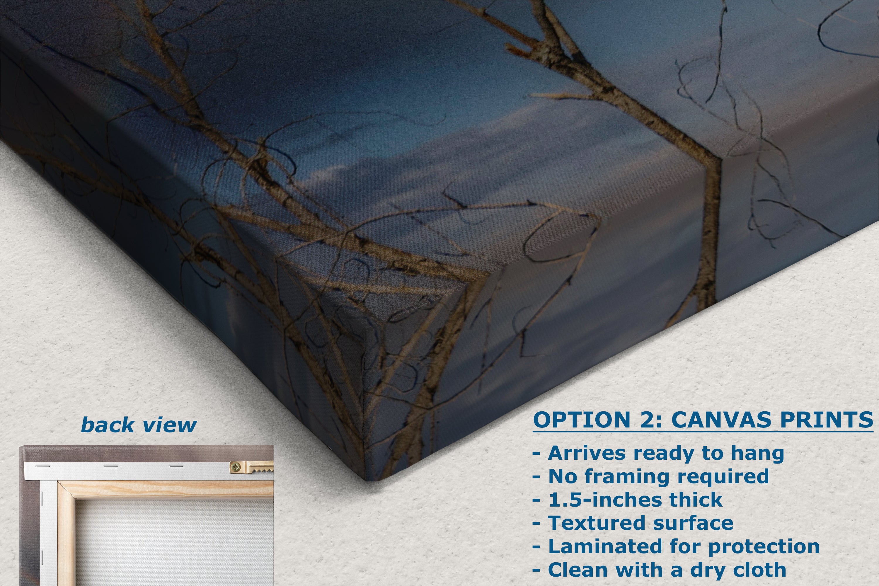 Bald Eagle Picture Wildlife Photography Wall Art, Nature Photo, Bird Photography, Rustic Cabin Decor, Office or Dorm Room Wall Decor