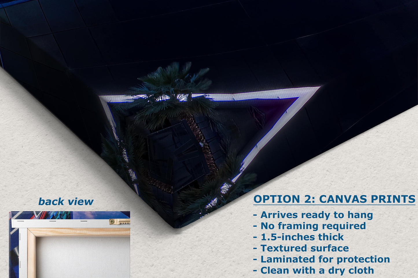 Las Vegas Raiders Football Gift Decor, Allegiant Stadium Photograph Poster, NFL Man Cave, Dorm Room & Office Wall Art