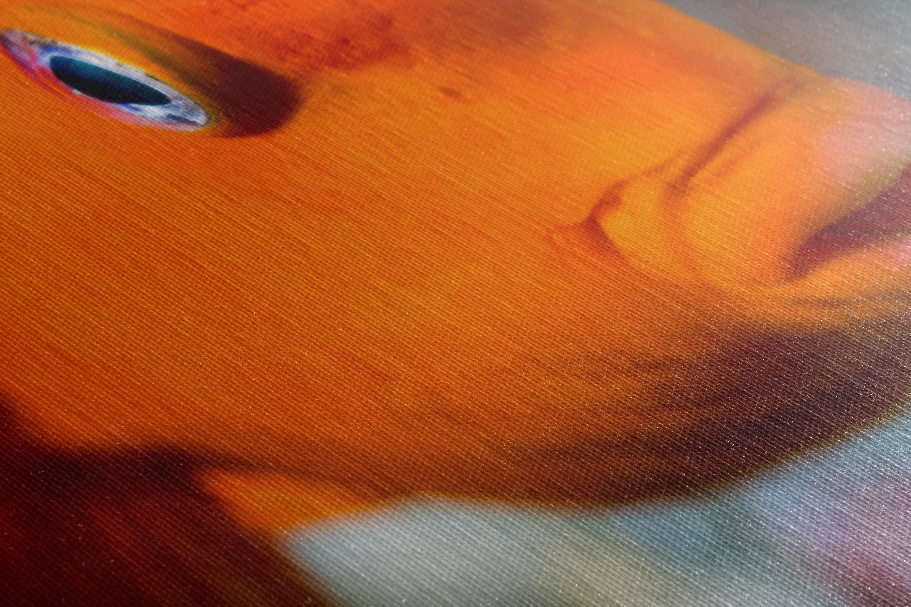 Garibaldi Fish Marine Biology Ocean Life, Underwater Scenery Nature Photo, California Marine Inhabitant, Nature Decor, Relaxation Artwork