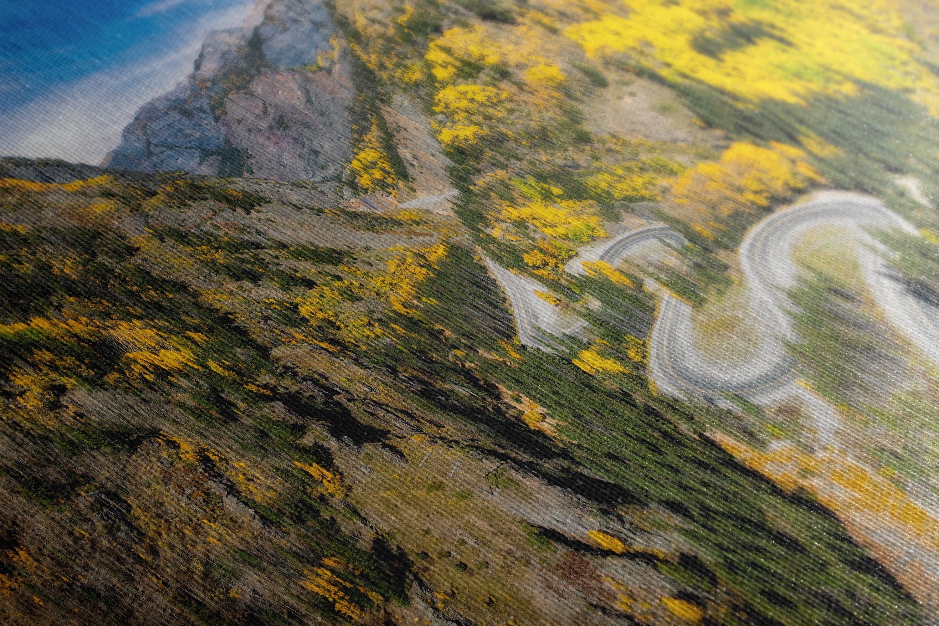 Colorado San Juan Mountain Picture, Million Dollar Highway Fall Colors Aspen Trees Forest Picture, Nature Photo for Relaxation Artwork, Meditation and House Decor