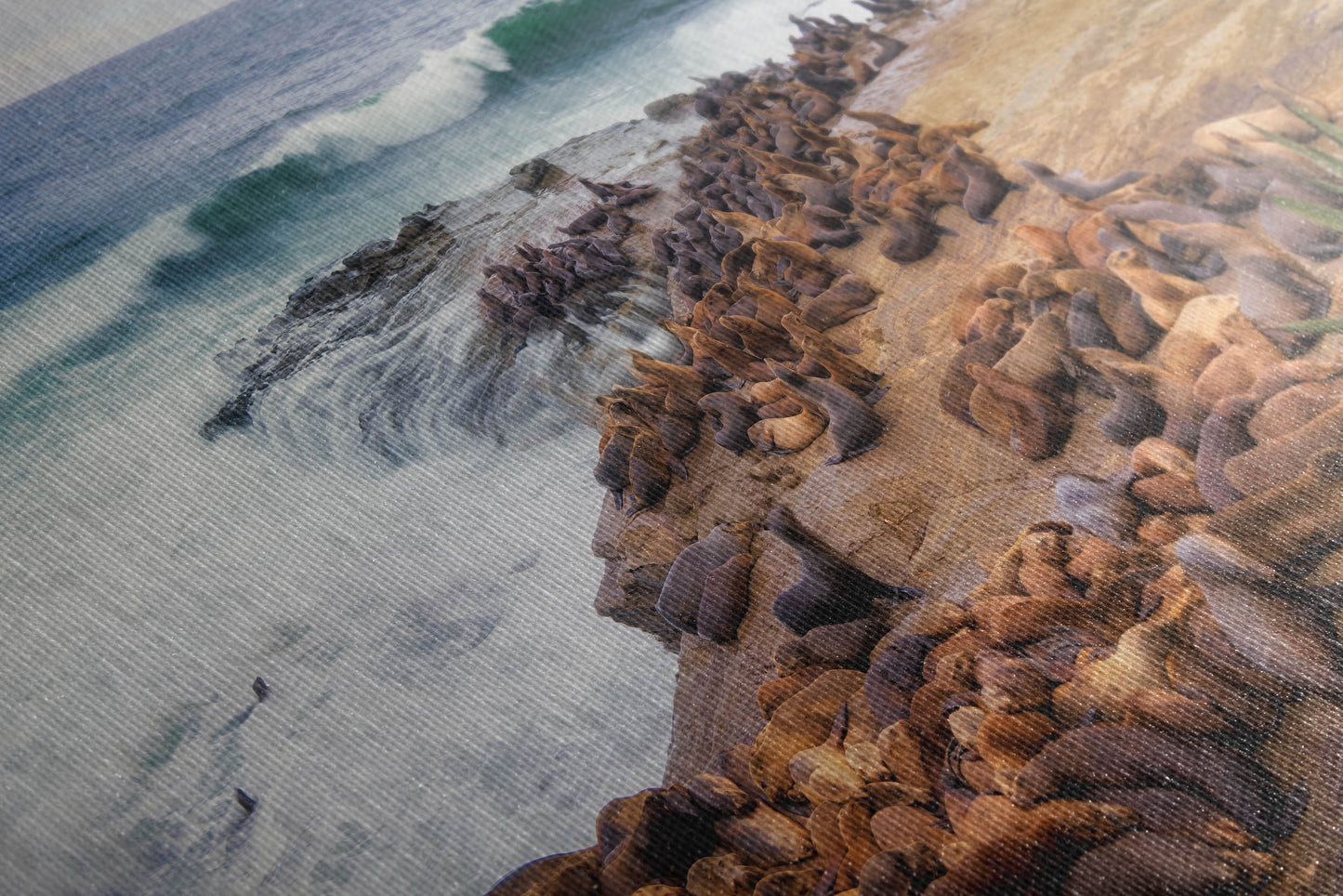 California Sea Lion Marine Mammal Wildlife Photography | Calming Nature Ocean Picture, Relaxation Artwork, La Jolla Coast, Nature Photo