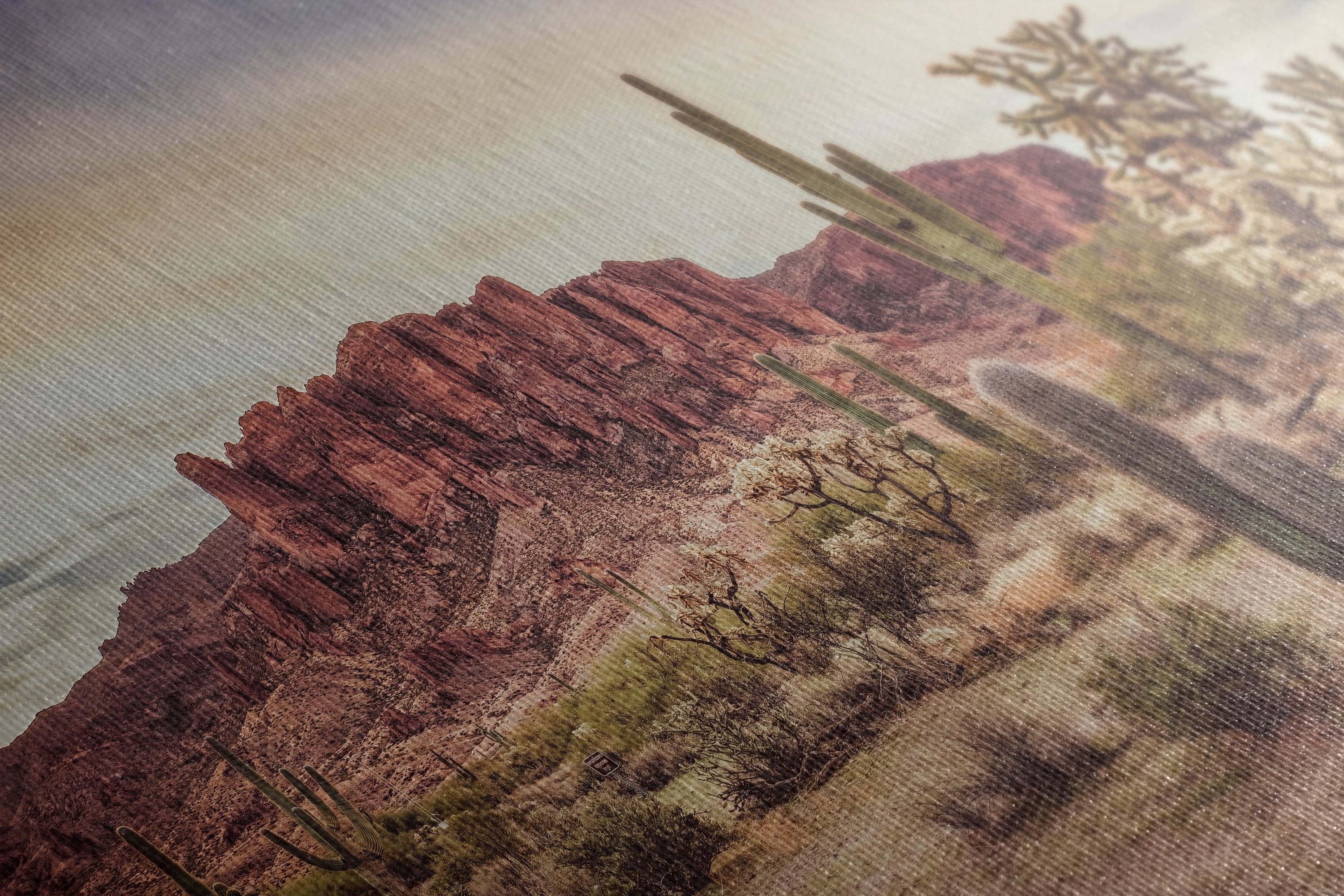 Arizona Desert Picture, Vintage Saguaro Cactus Artwork Nature Photo, Southwestern Wall Art of Superstition Mountains at Lost Dutchman State Park