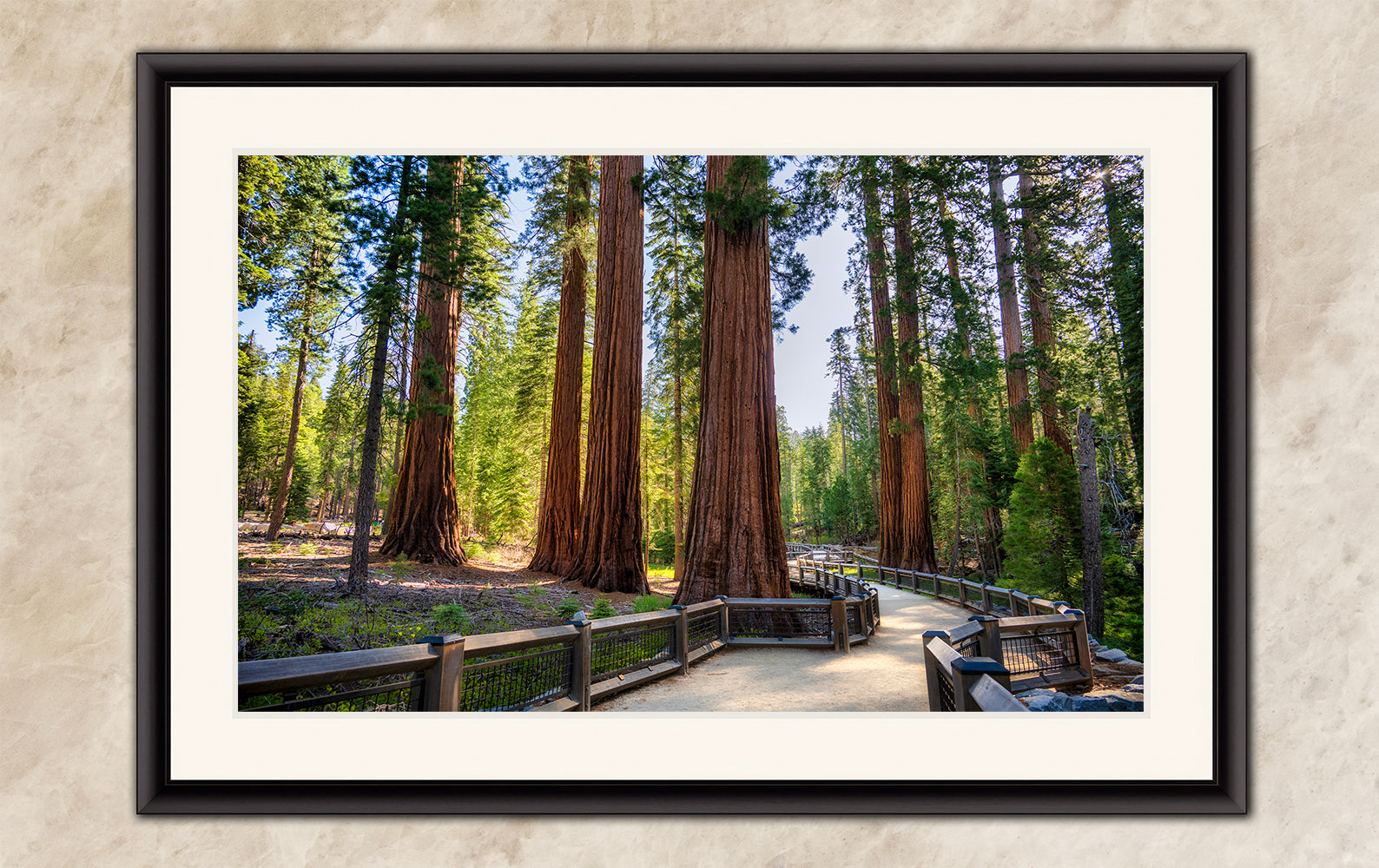 Giant Sequoia Tree Forest Picture Nature Photo | Yosemite Redwood Trees for Nature Lovers & Forest Bathing Relaxation, Meditation Artwork