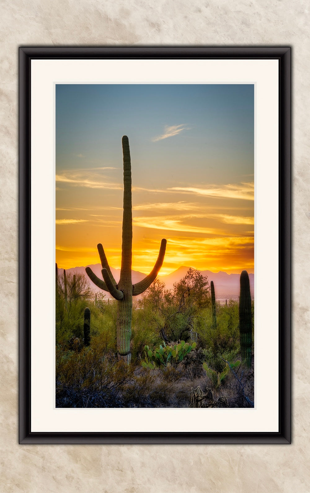 Saguaro National Park Arizona Desert Picture Nature Photo, Bohemian Style Relaxation Artwork, Southwestern Sonoran Desert House Decor