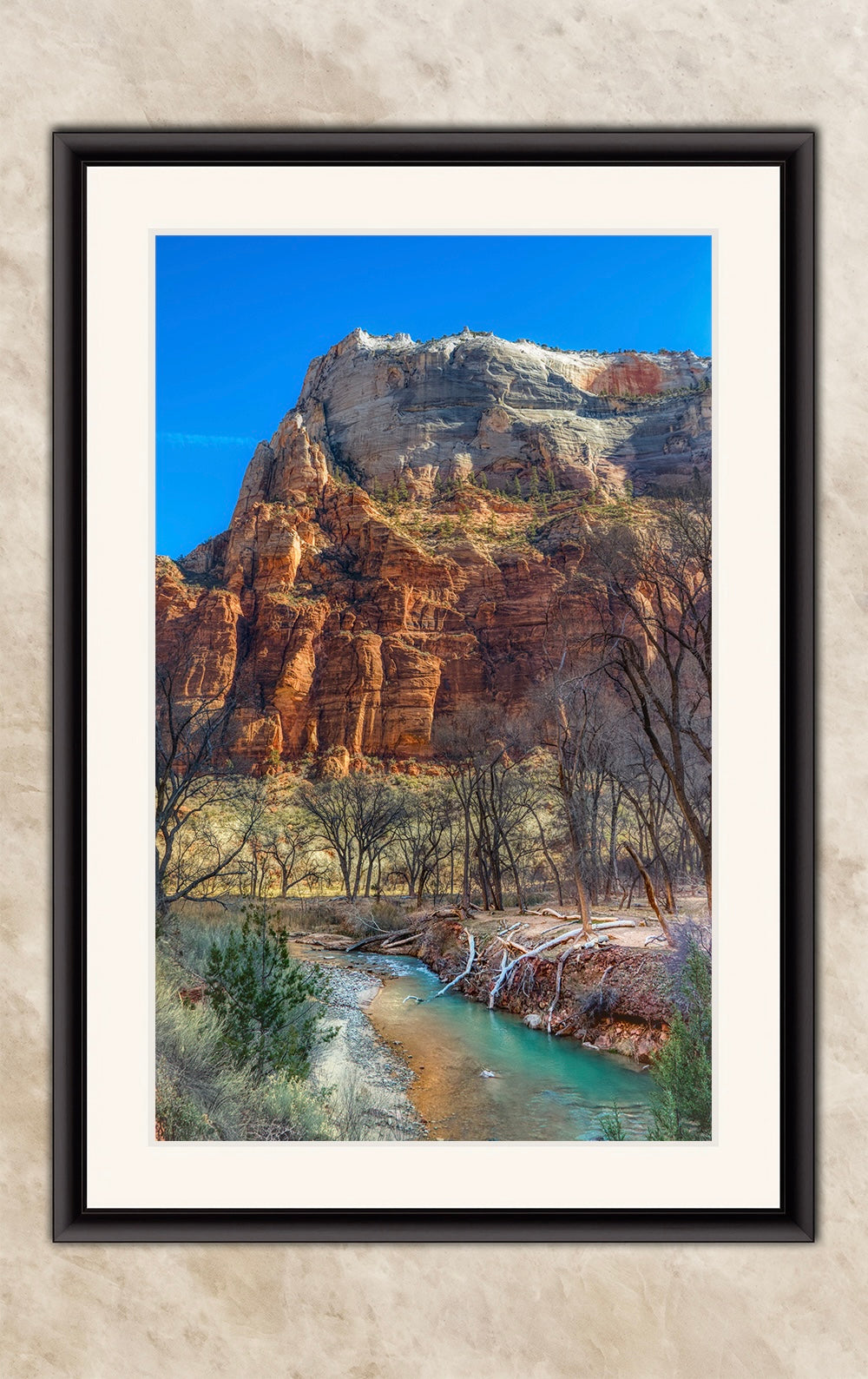 Zion National Park Southern Utah Desert Picture, Southwestern Wall Art, Relaxation Artwork Nature Photo for House Decor