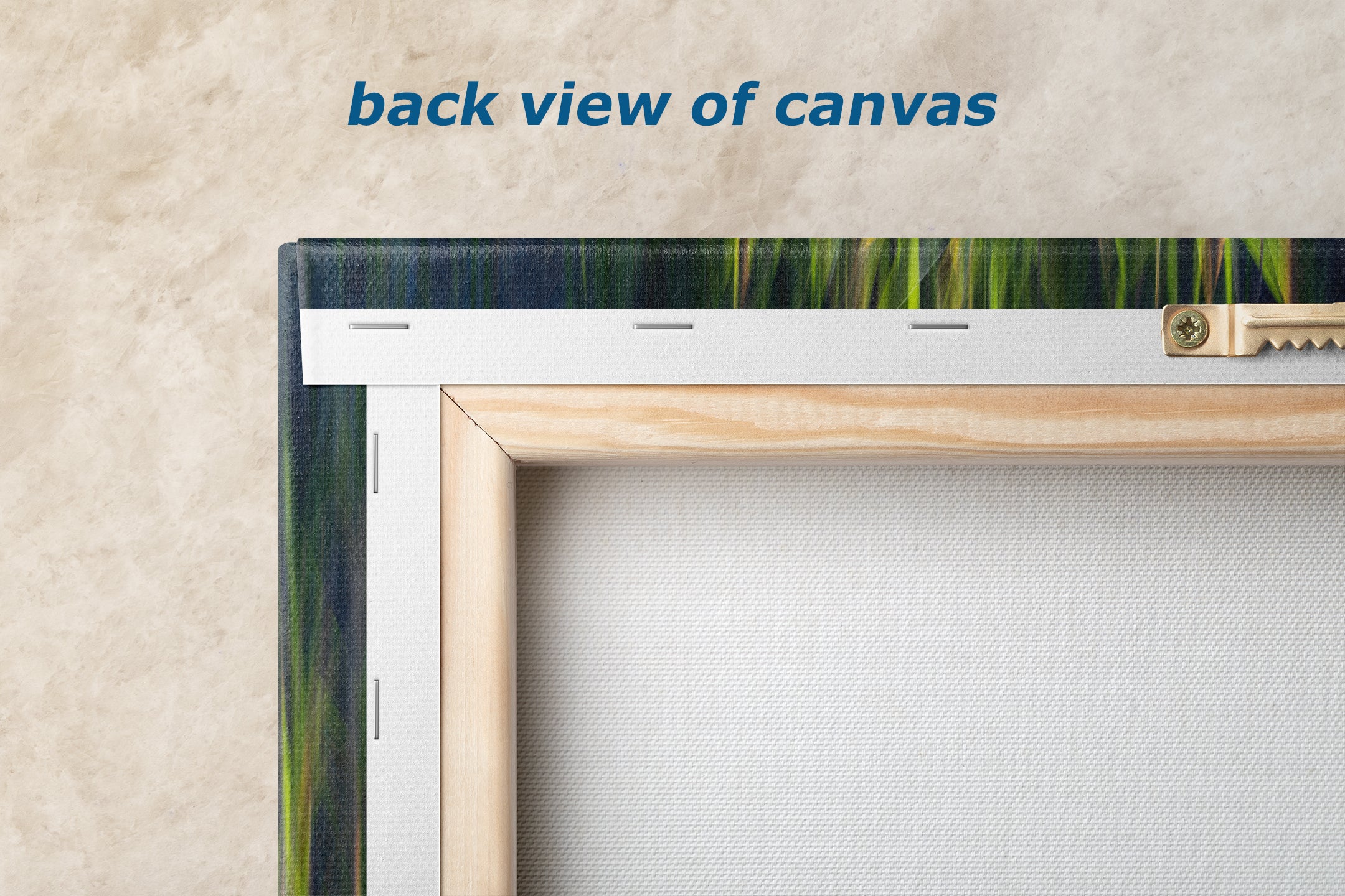 Sage Green Abstract Art Nature Photo