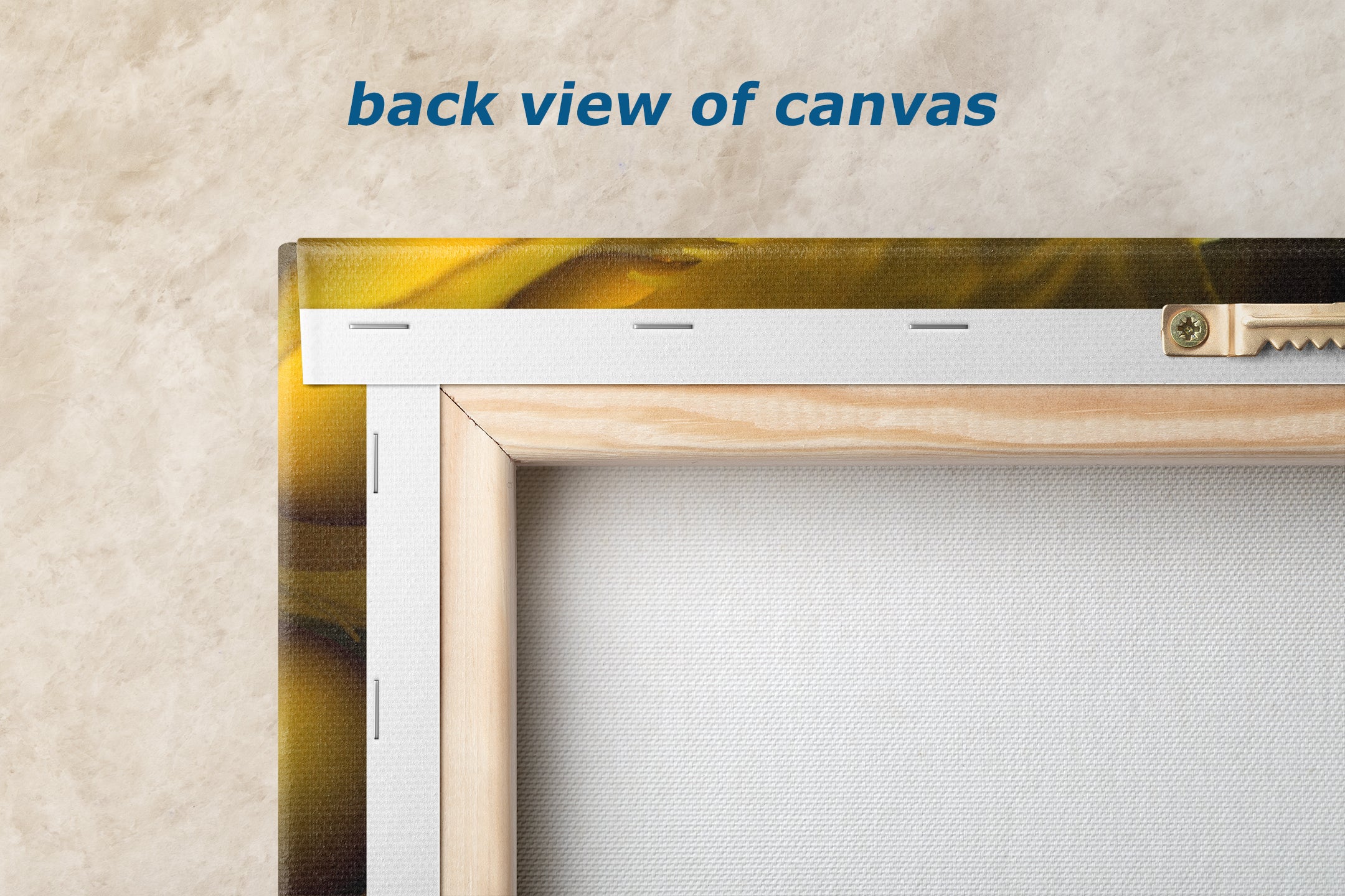 Kelp Forest Seaweed Pictures Underwater Scenery, Ocean Life Marine Biology Nature Photo Relaxation Artwork Decor for Office Dorm Room Decor