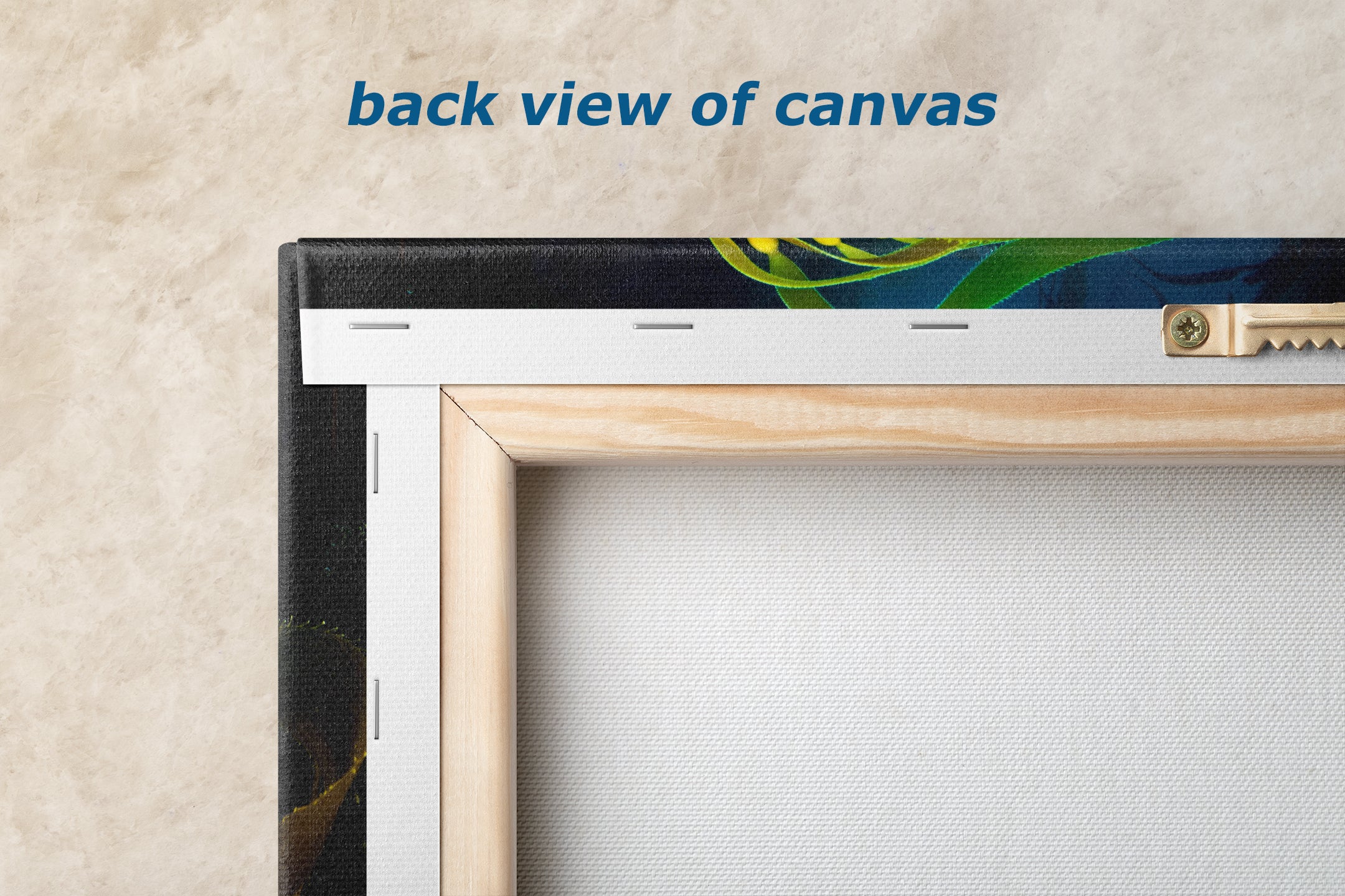 Kelp forest seaweed pictures underwater scenery, ocean life marine biology art, relaxation decor, ocean lover gift, deep sea nature photo