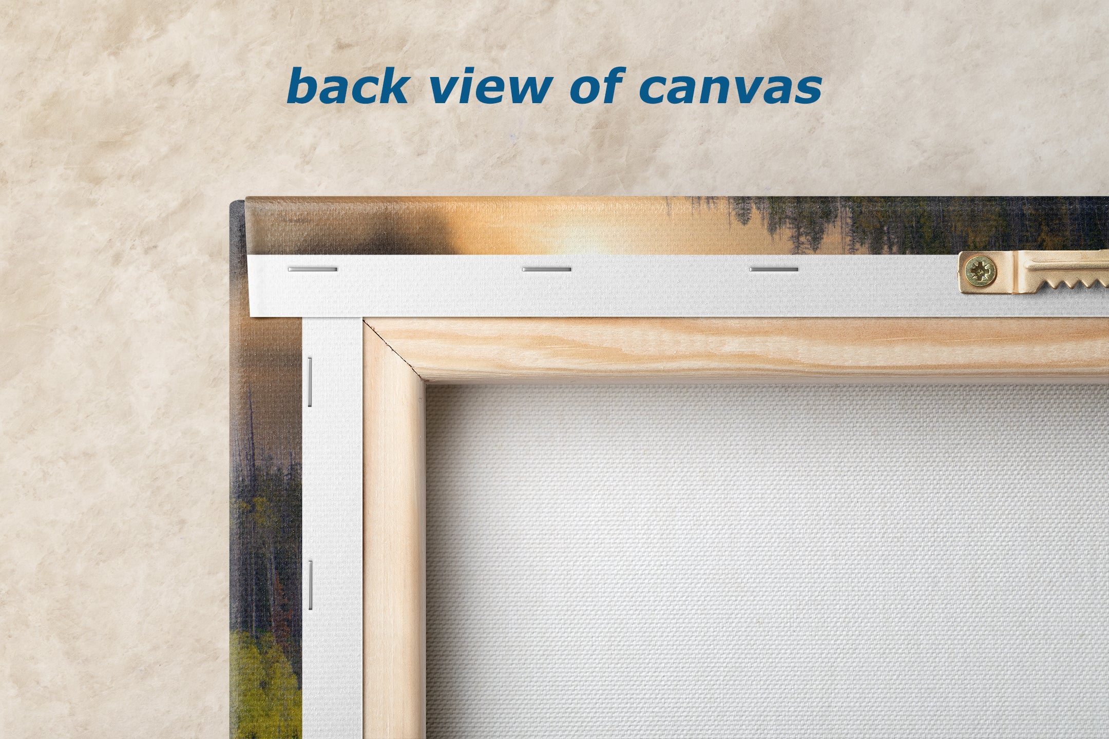 Aspen Tree Forest Picture Nature Photo, Forest Bathing Relaxation Artwork Dopamine Decor for Meditation, Bedroom, Living Room, and Office